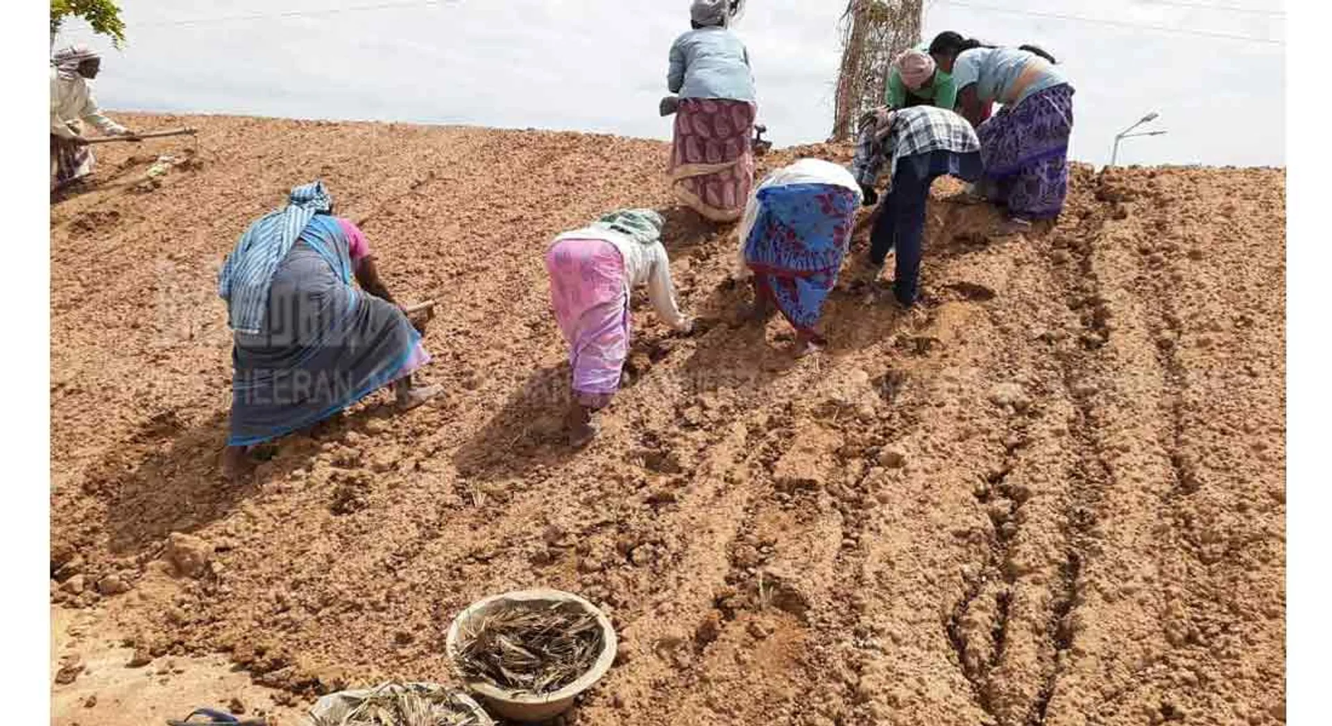  planting work to strengthen water bodies!