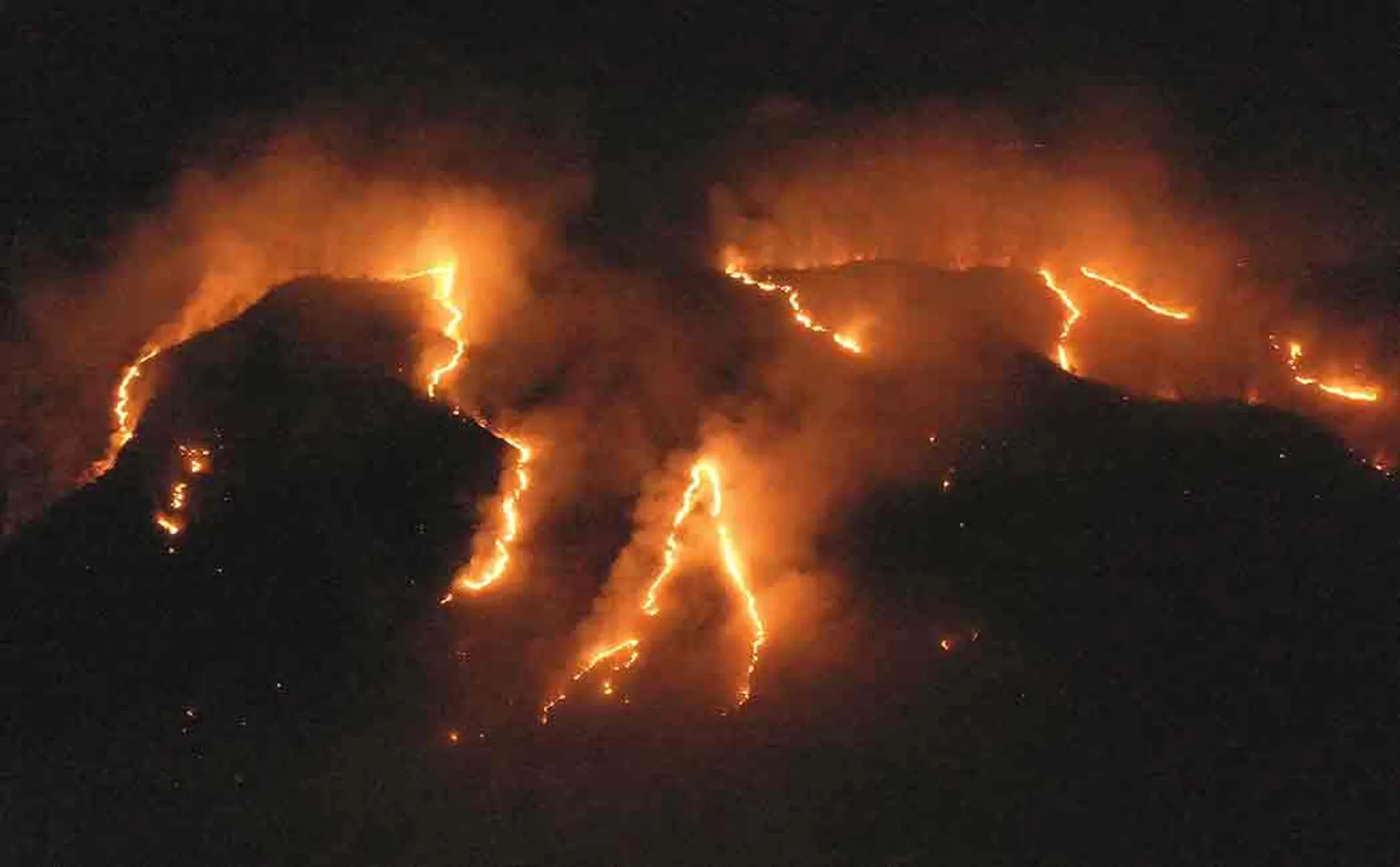 amazon rain forest fire accident