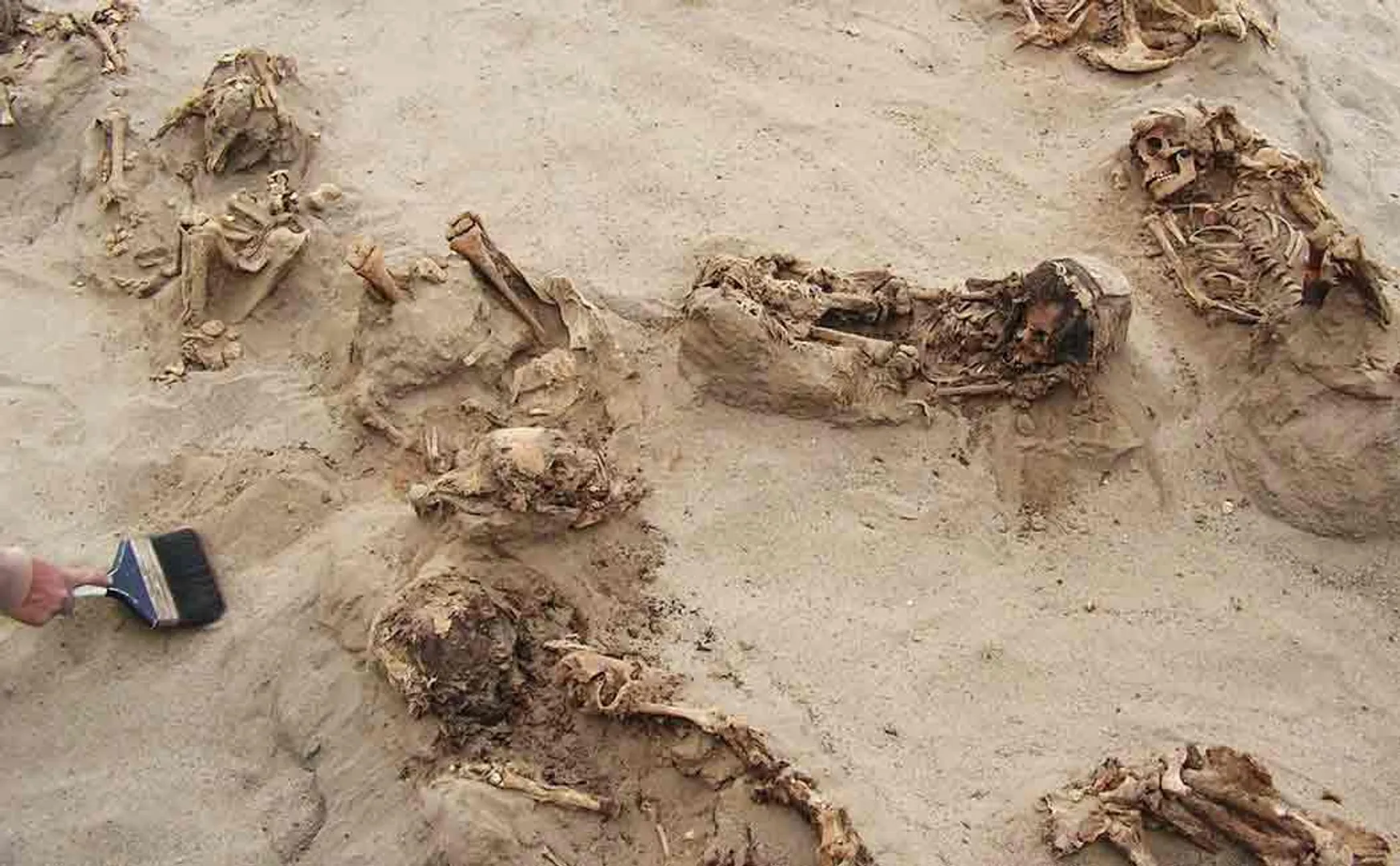 sacrifised children skeleton found in peru