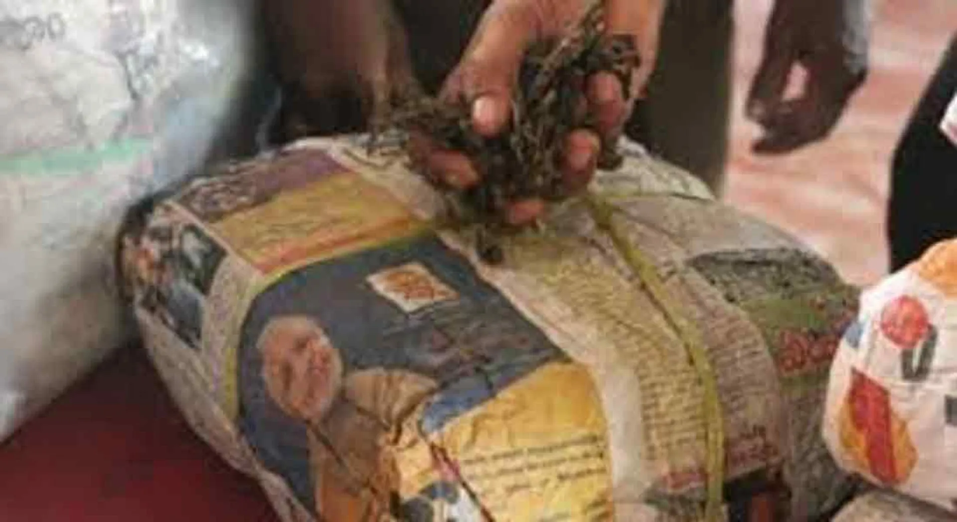Cannabis trafficking ;3 arrested including assistant professor