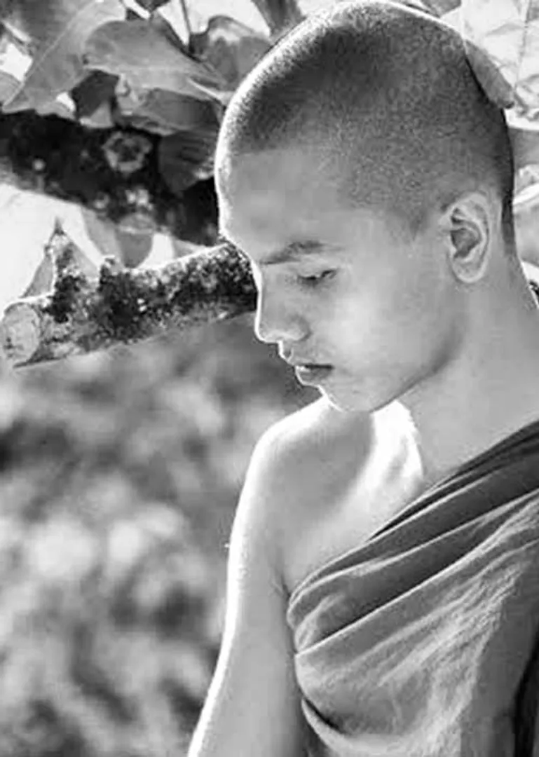 /idhalgal/eniya-utayam/book-todays-bodhi-tree-glenin