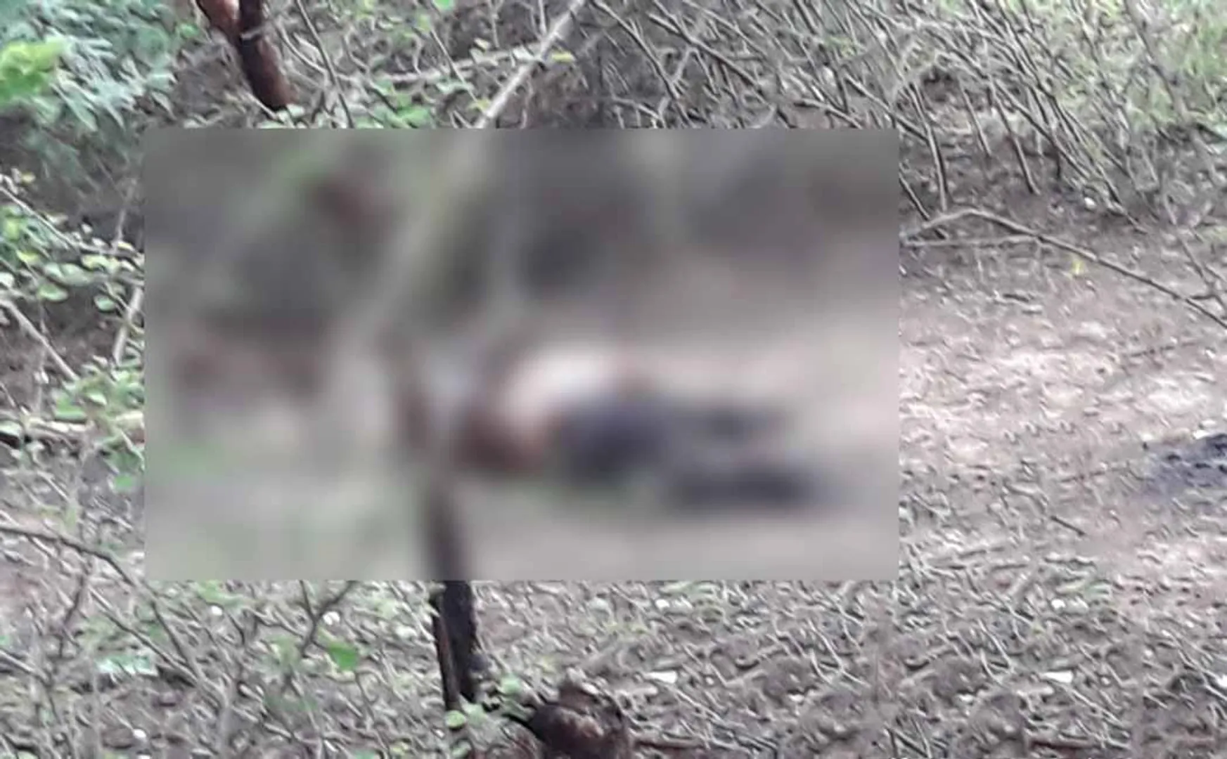 cuddalore girl incident police investigate 