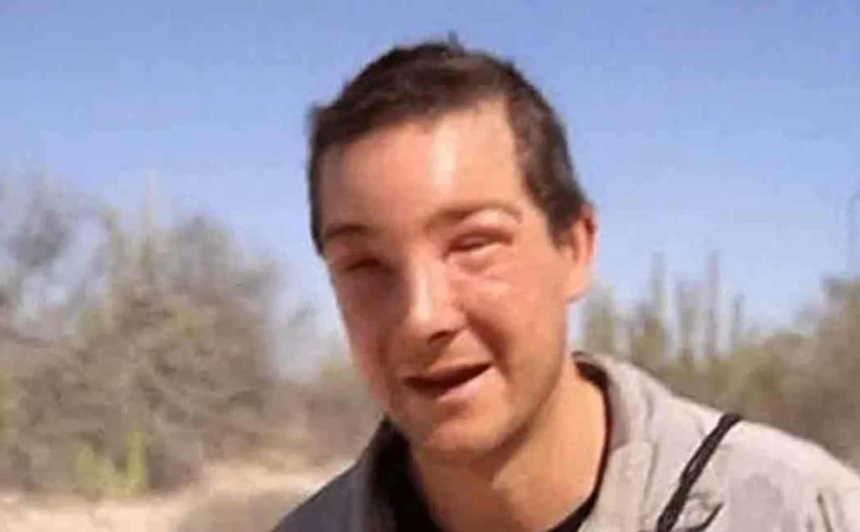 bear grylls attacked by bee