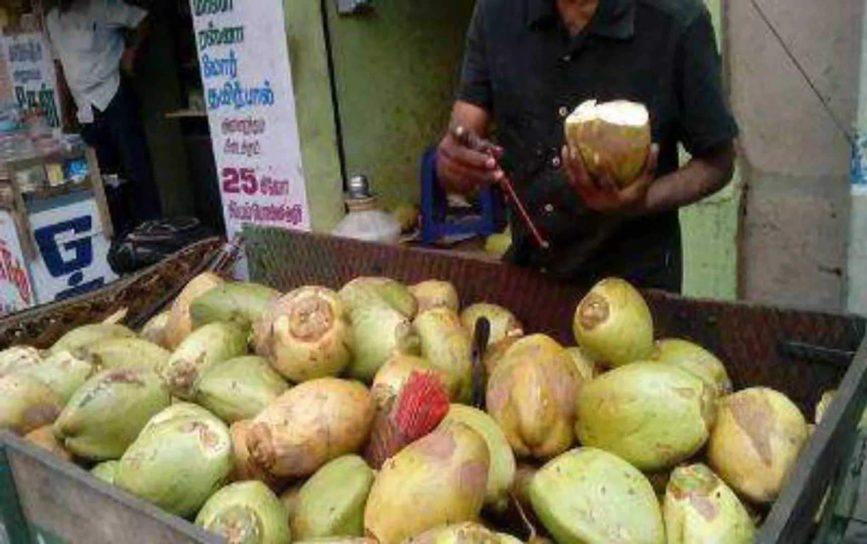 coconut