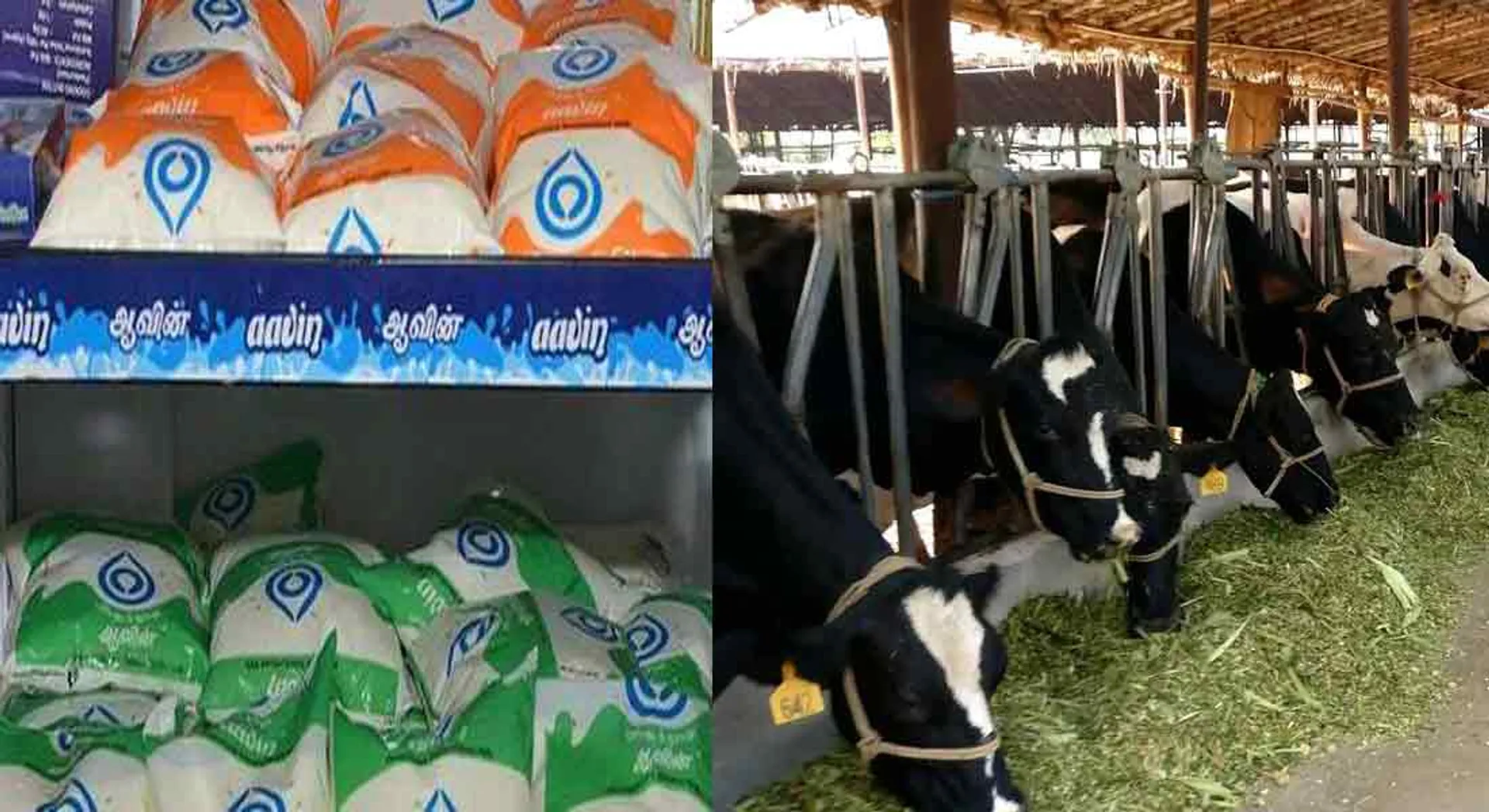 wholesale distributors of milk agents' profit