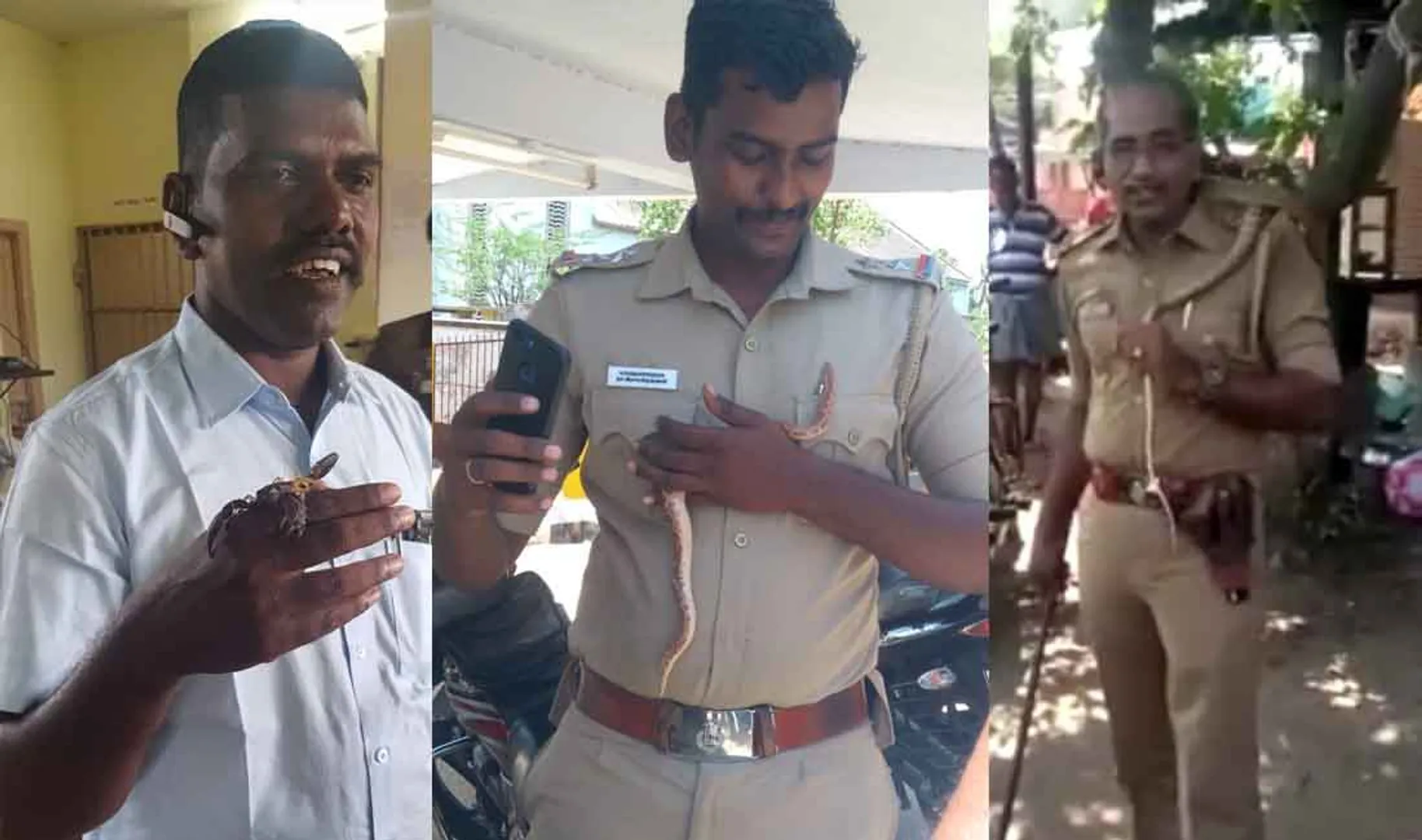 police - nellai - Veeravanallur