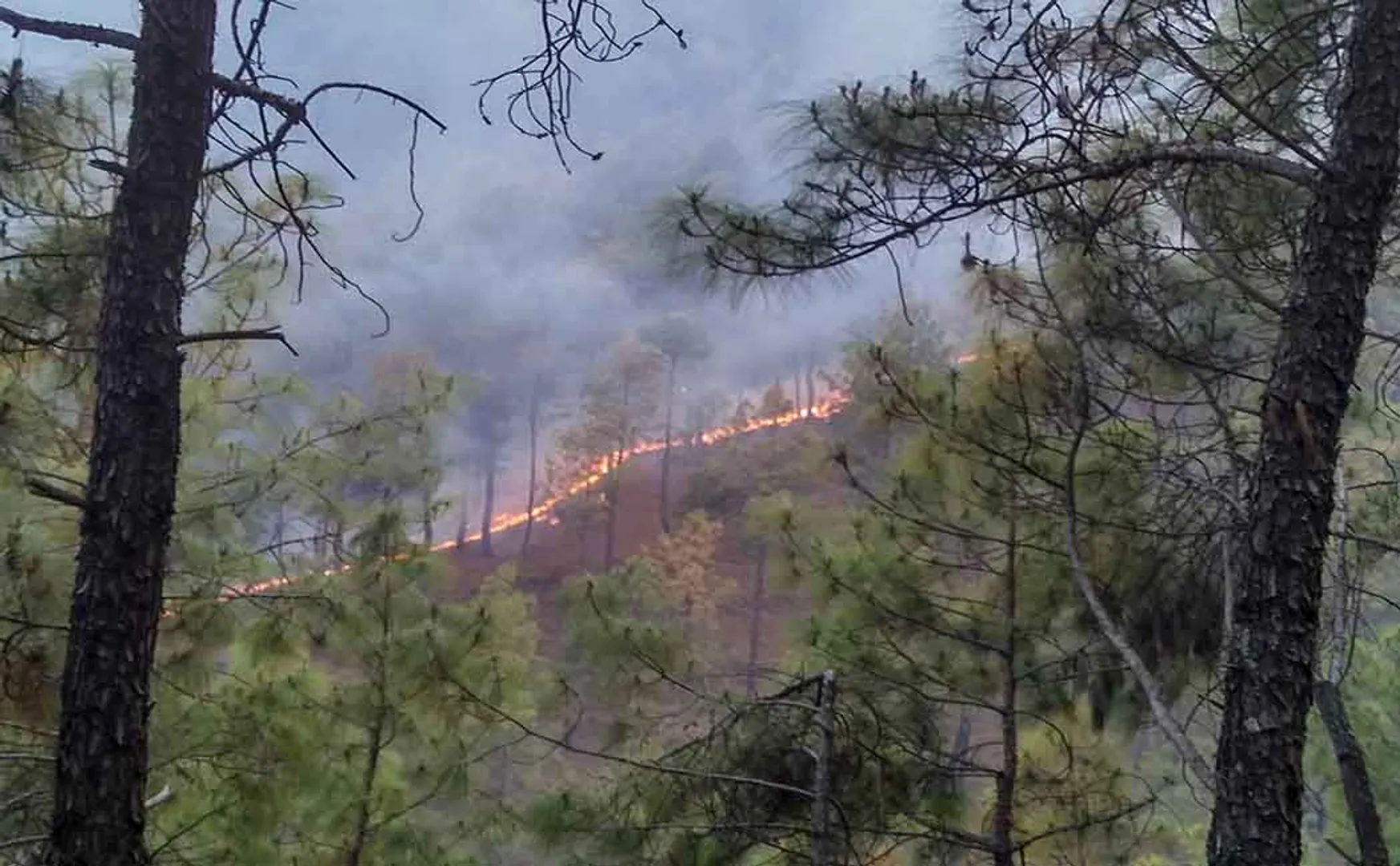 INDONESIA FOREST INCIDENT AIR POLLUTION AFFECT IN SINGAPORE 