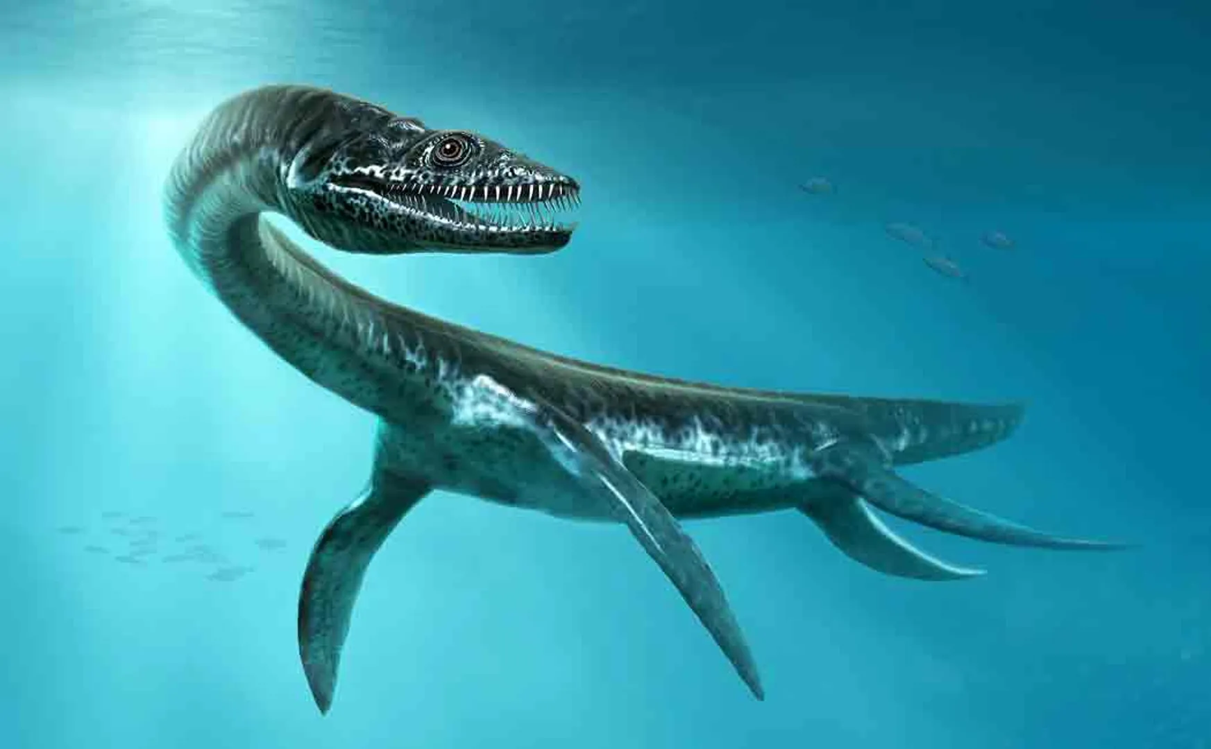 Loch Ness monster might be a giant eel