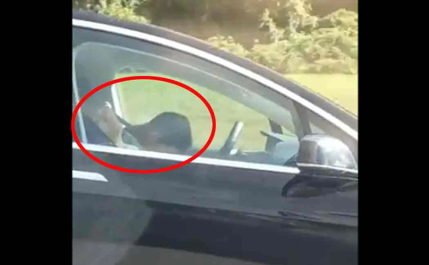 tesla autopilot car driver sleeps while driving