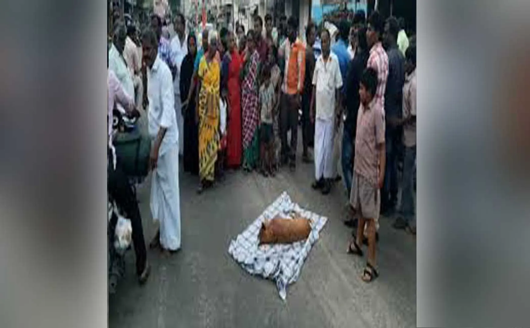 karur district dog died people crying police arrested in municipality employees