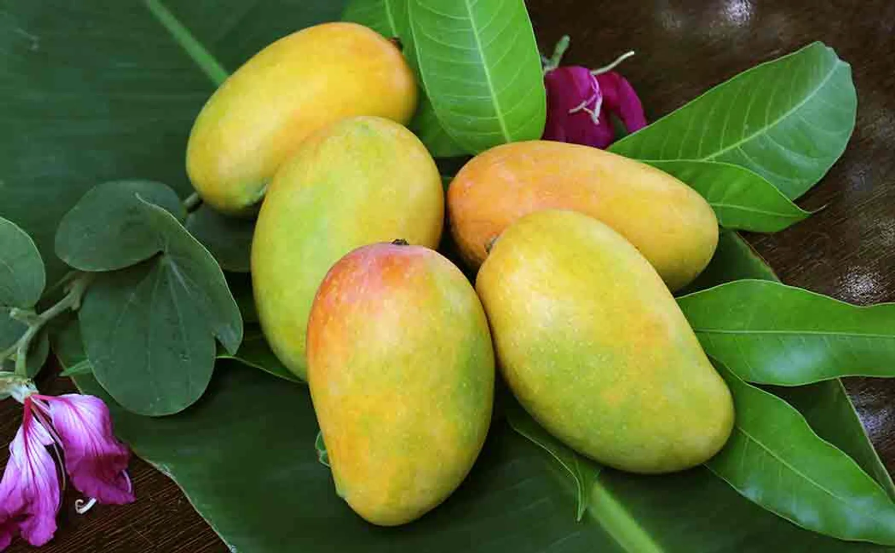 indian mango case in dubai