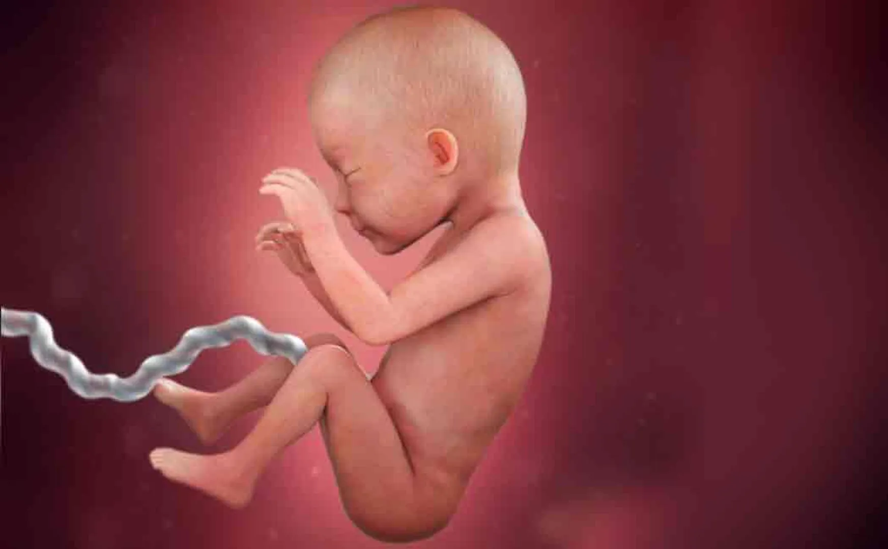 more than 2000 fetus found in doctors house
