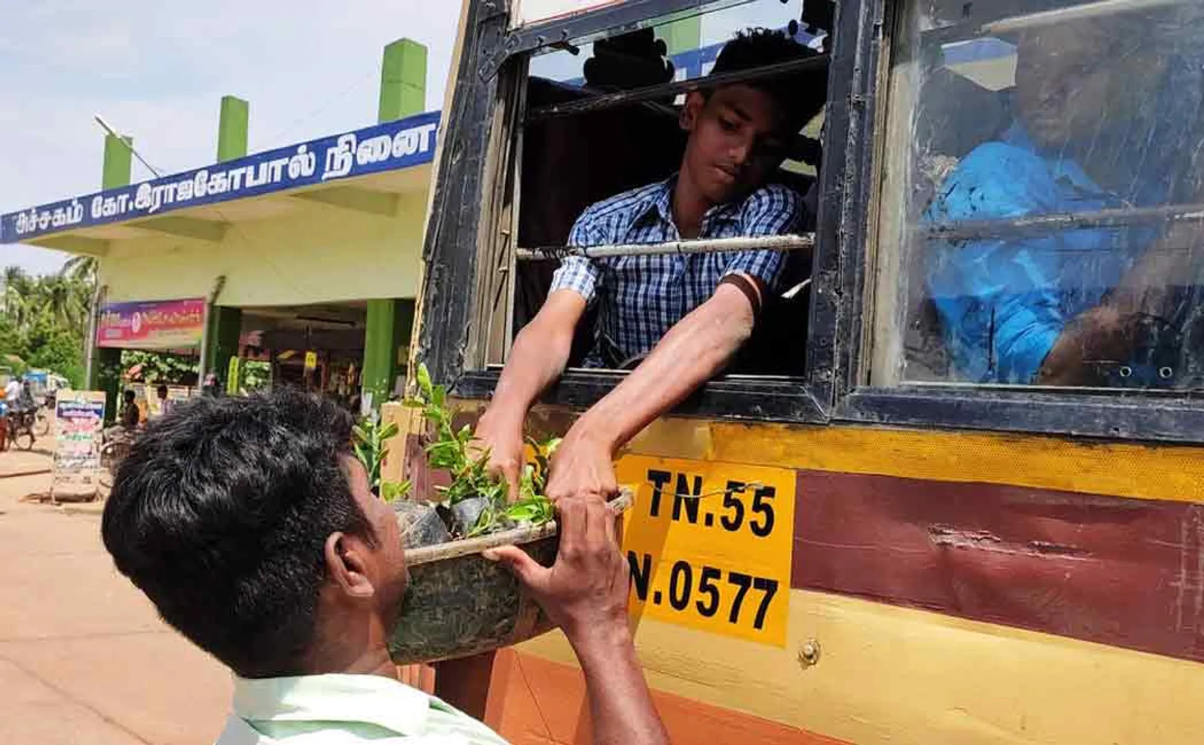 puthukottai tree plantation