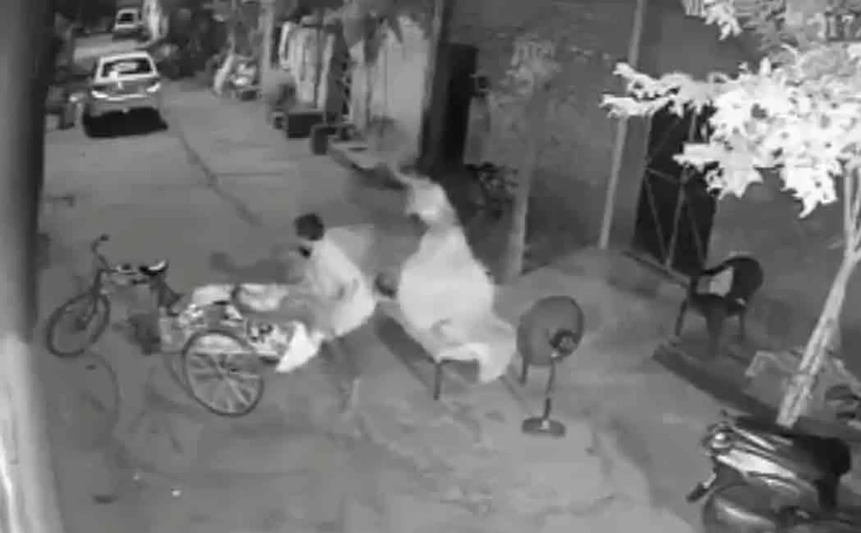 punjab cctv footage