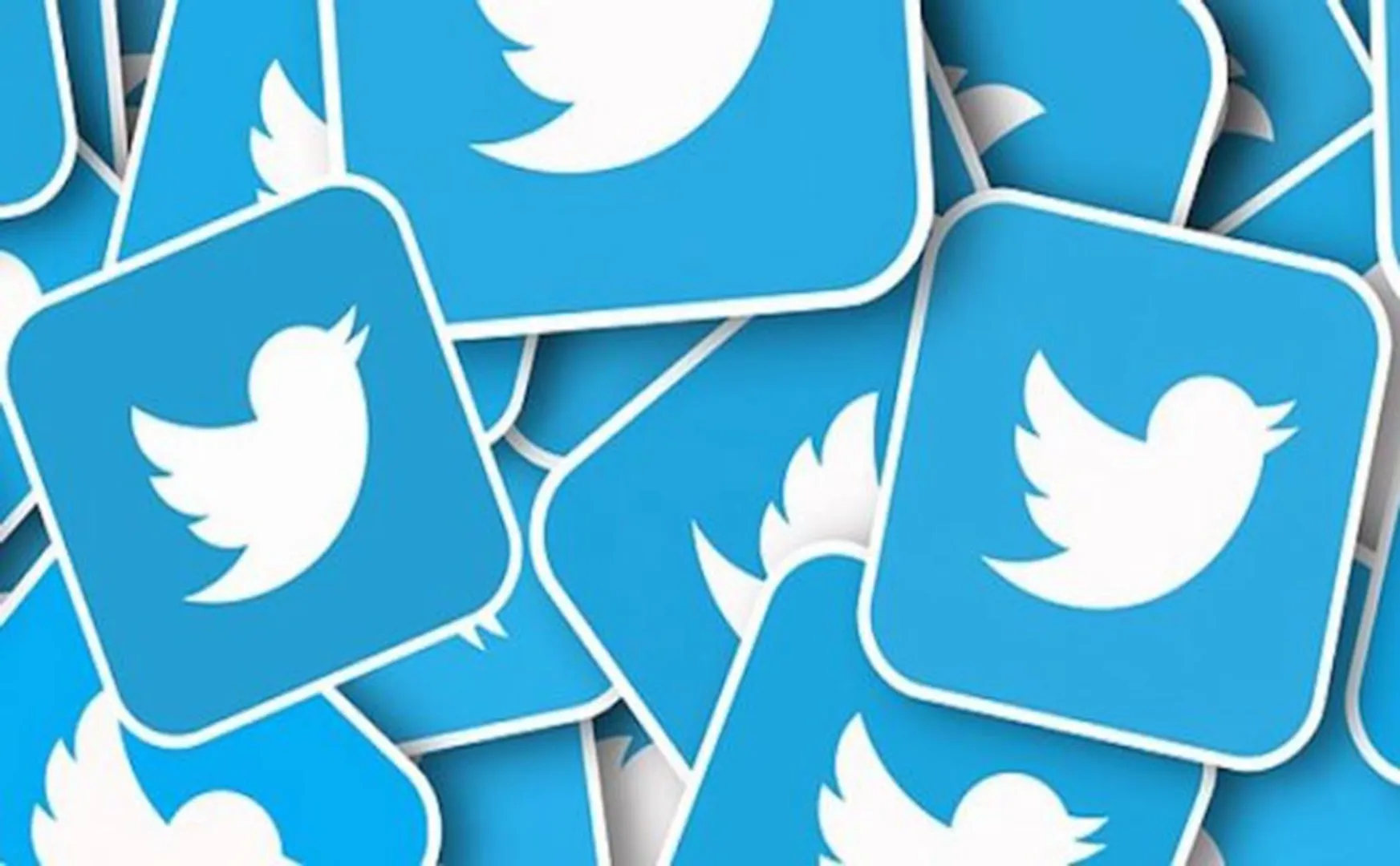 1000 fake account delete in twitter company 