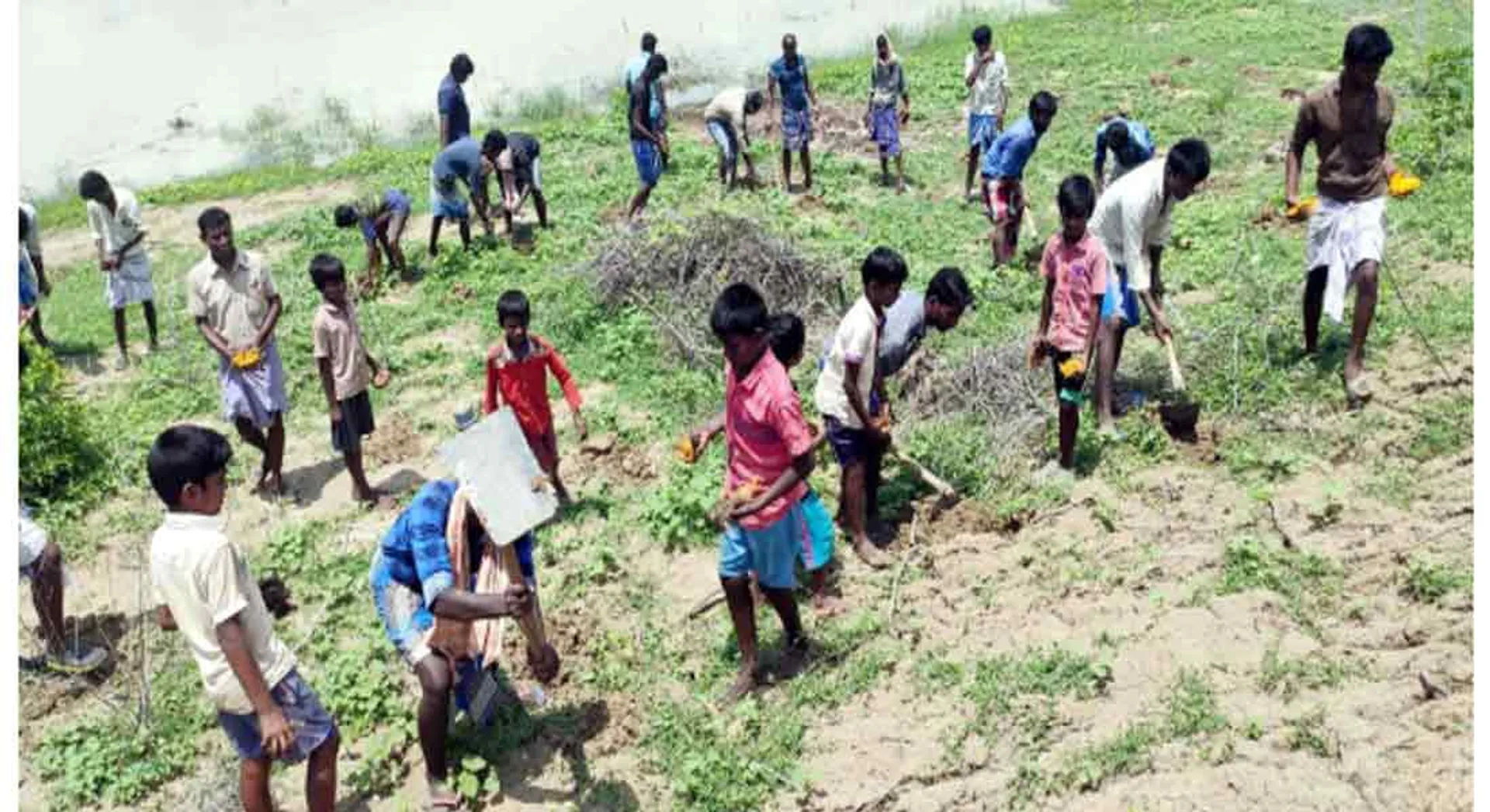 Today in Tamil Nadu .. Palm Festival...
