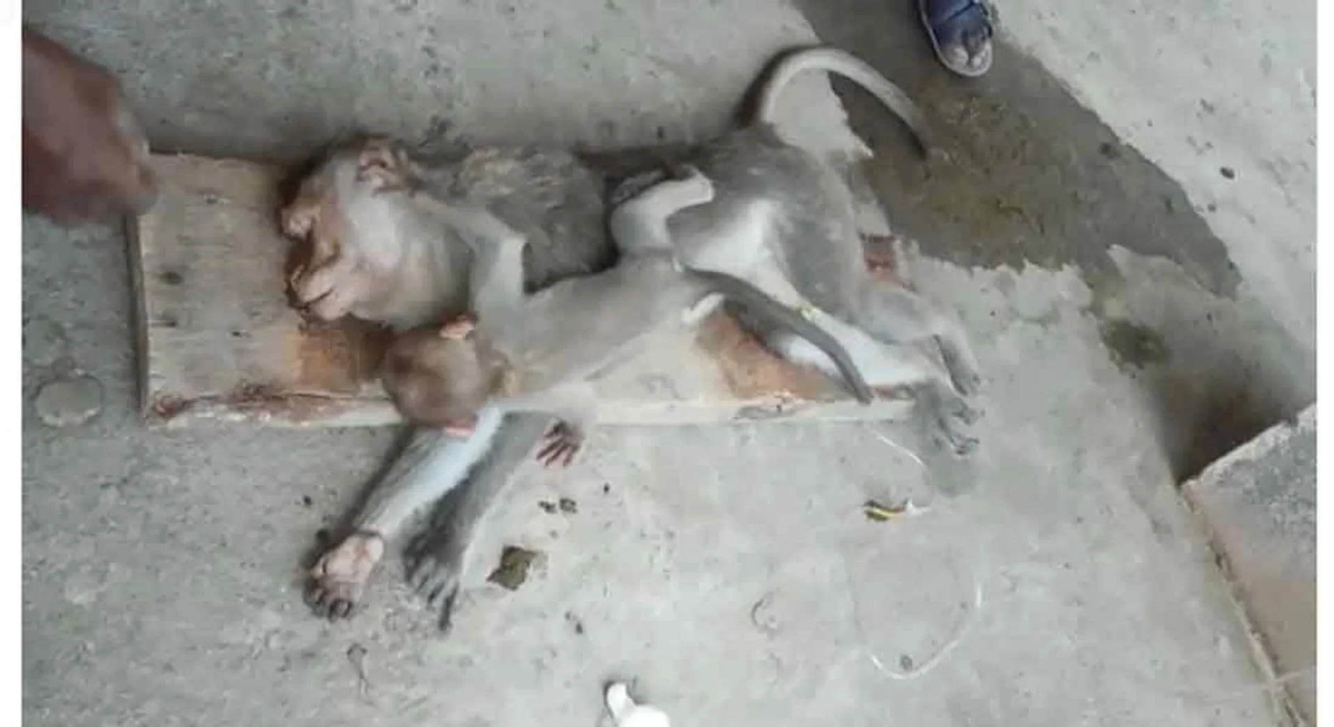 heart melted incident in vilupuram 