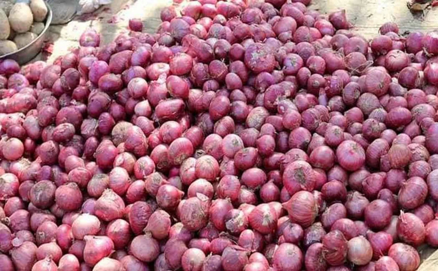  Onion at co-operative stores for Rs 33 TAMILNADU GOVERNMENT 