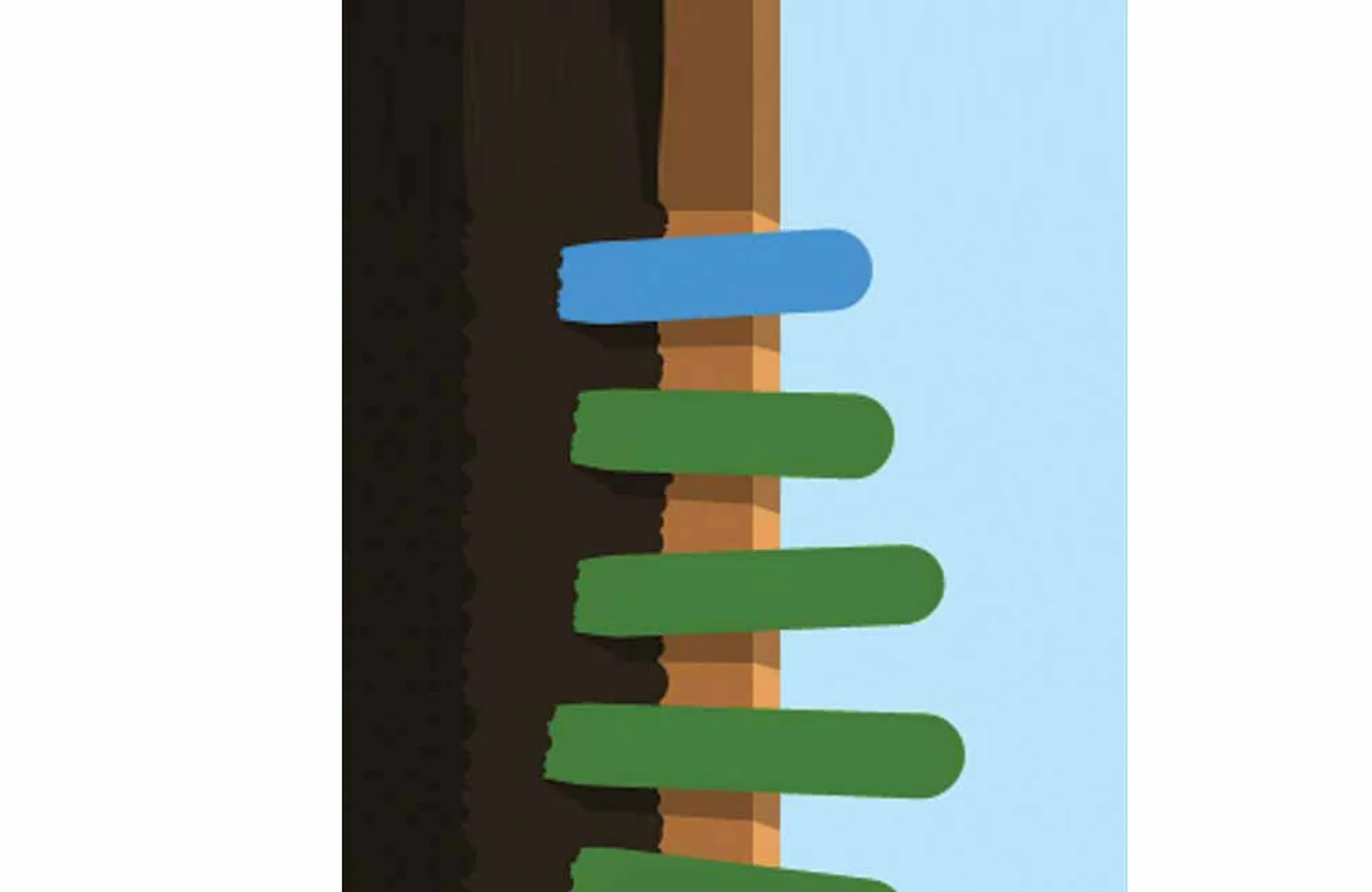pp