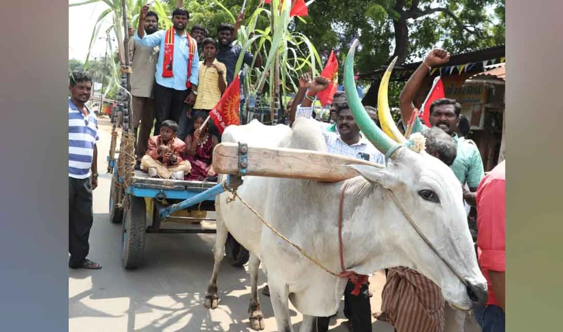 naam tamilar katchi