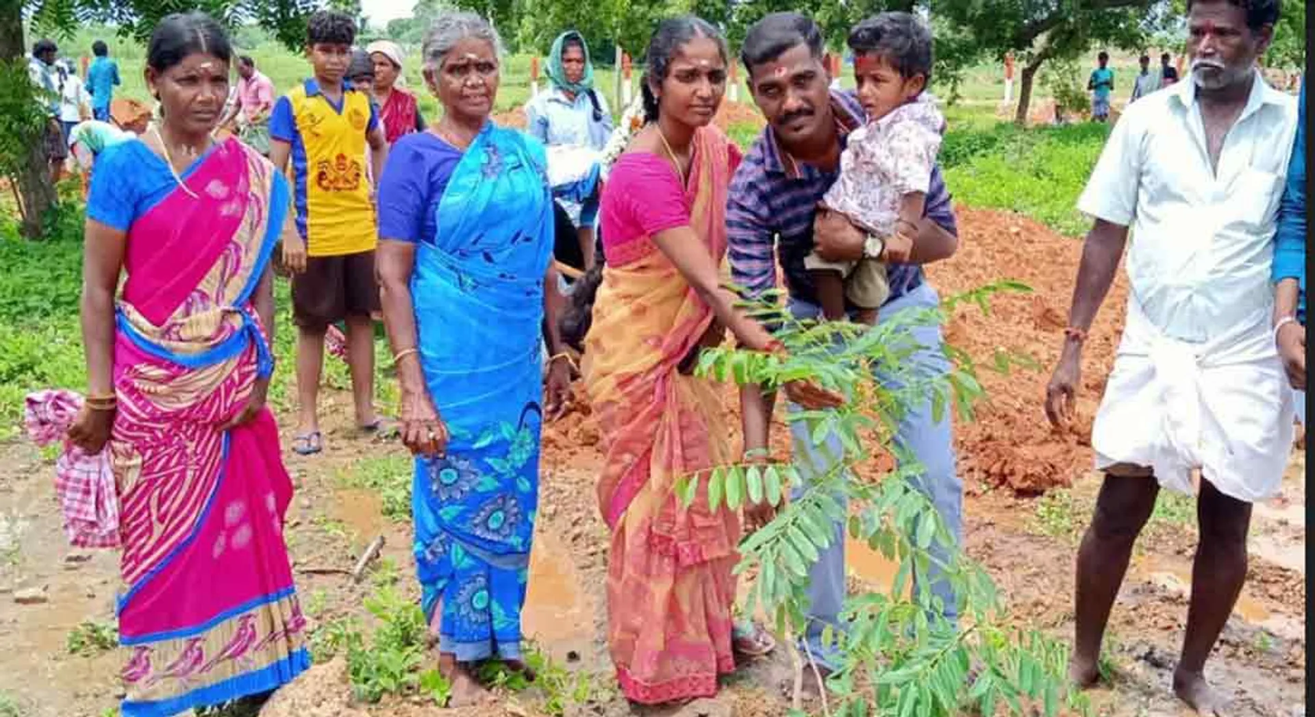  Couple cutting birthday cake with a thousand trees