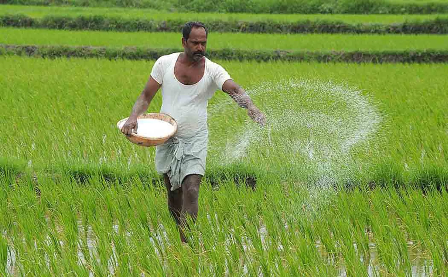  Central Government Action For Allotting Urea To Tamil Nadu