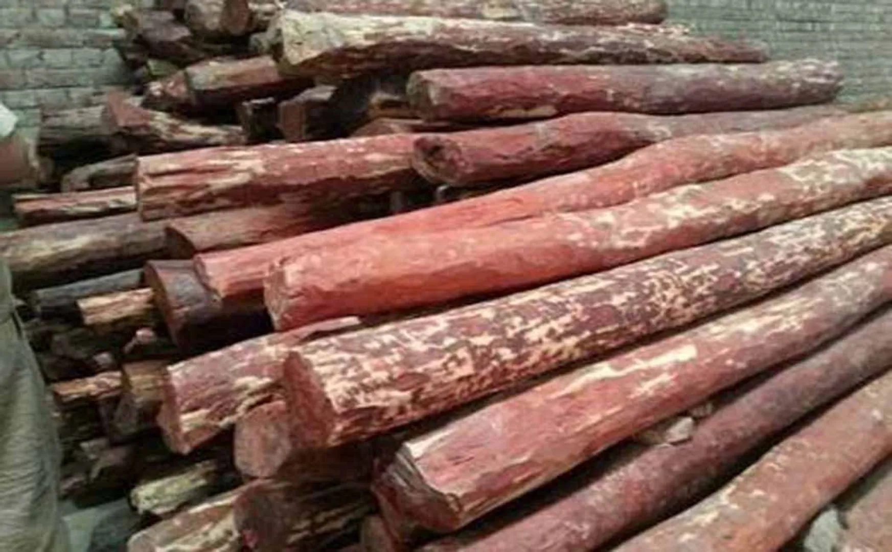  International  Cemmaram sheep smuggling king arrested