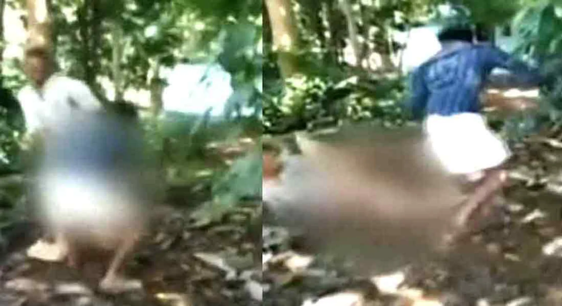 son attack the father for wine bottle... viral video 