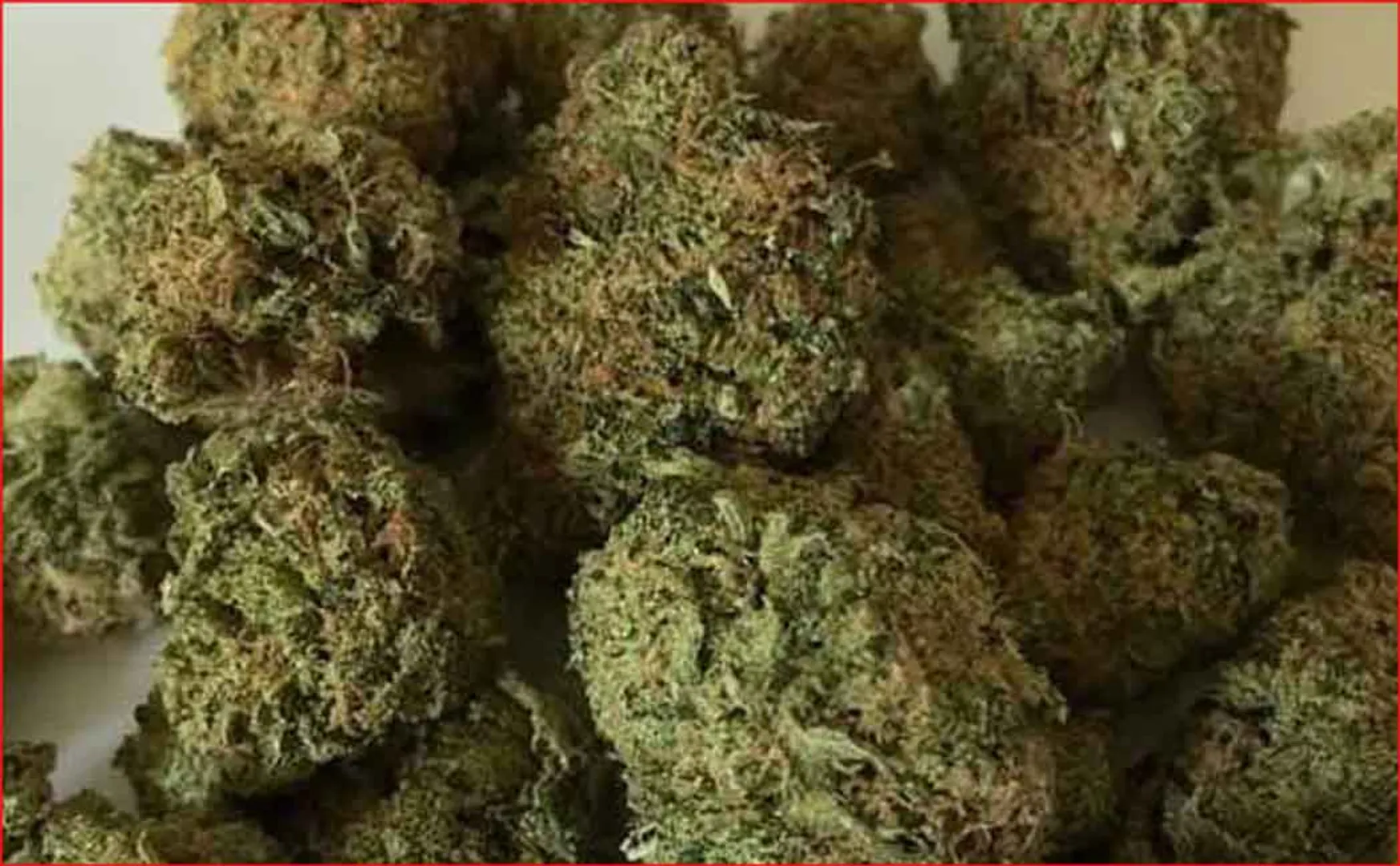  2 arrested for selling cannabis in Salem
