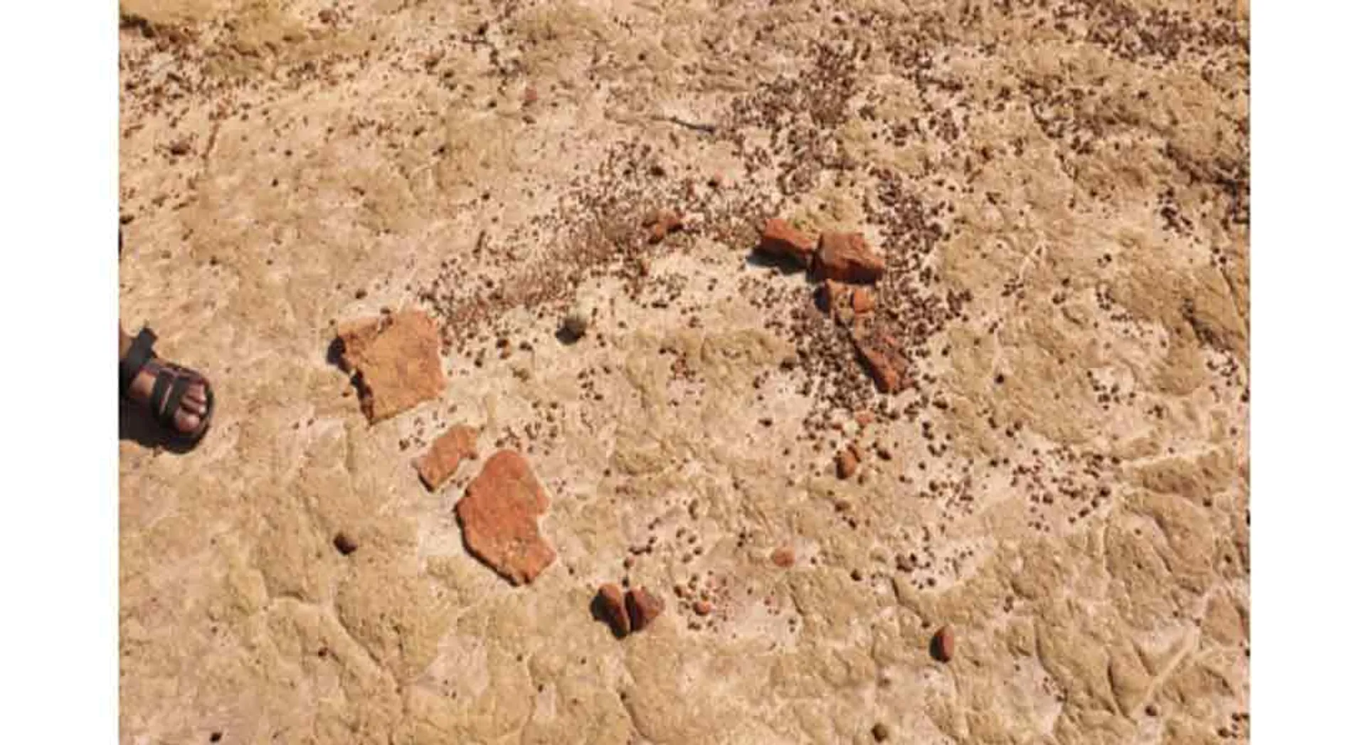  MLA's request for excavation