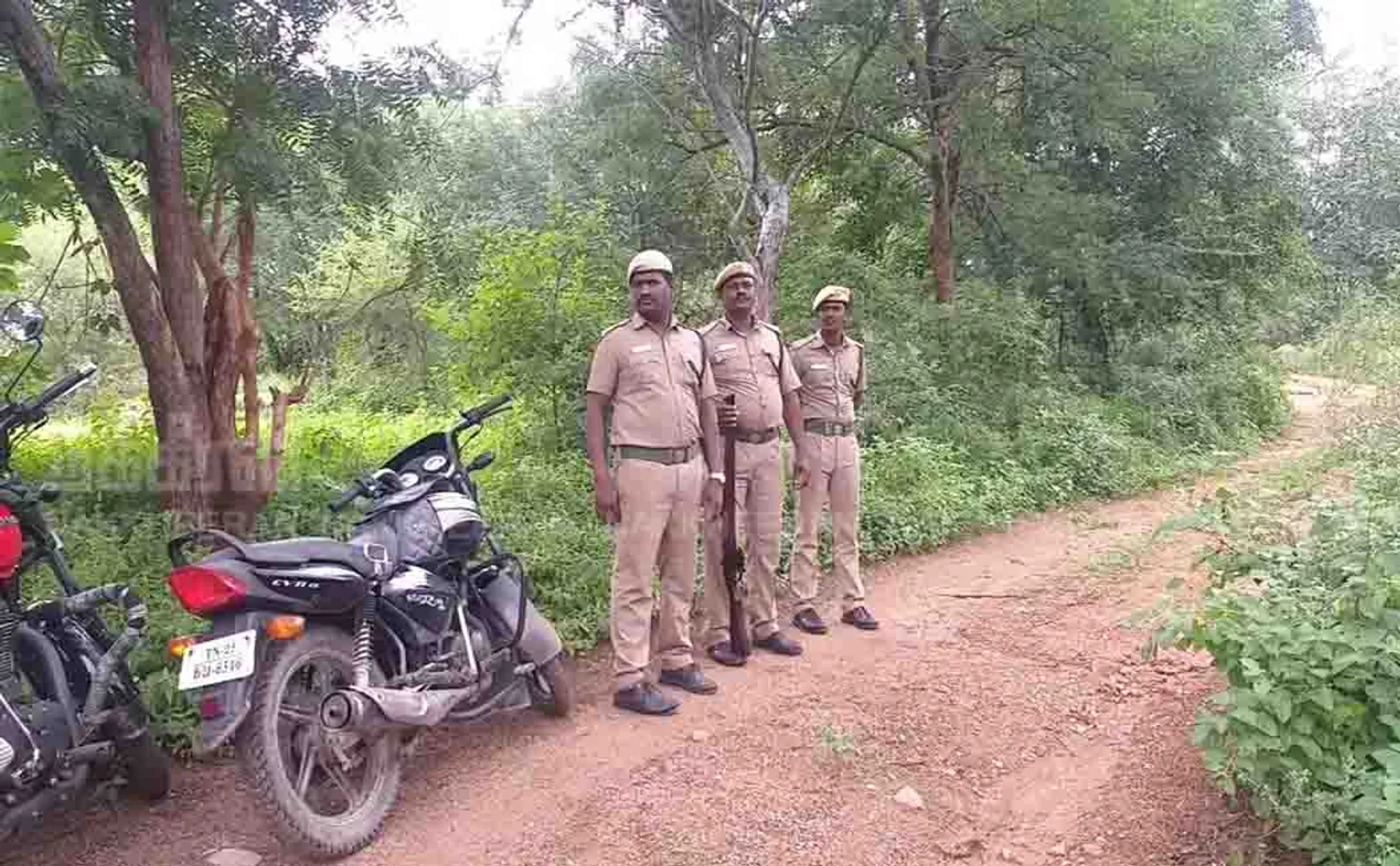 vellore forest area leopard peoples shock