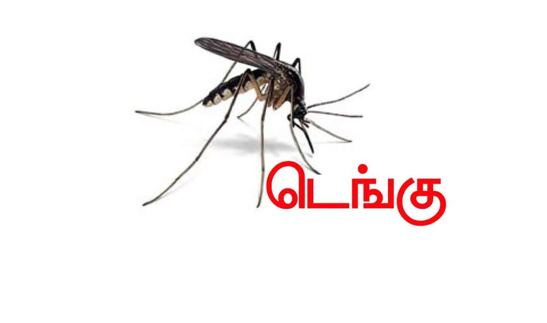 Dengue