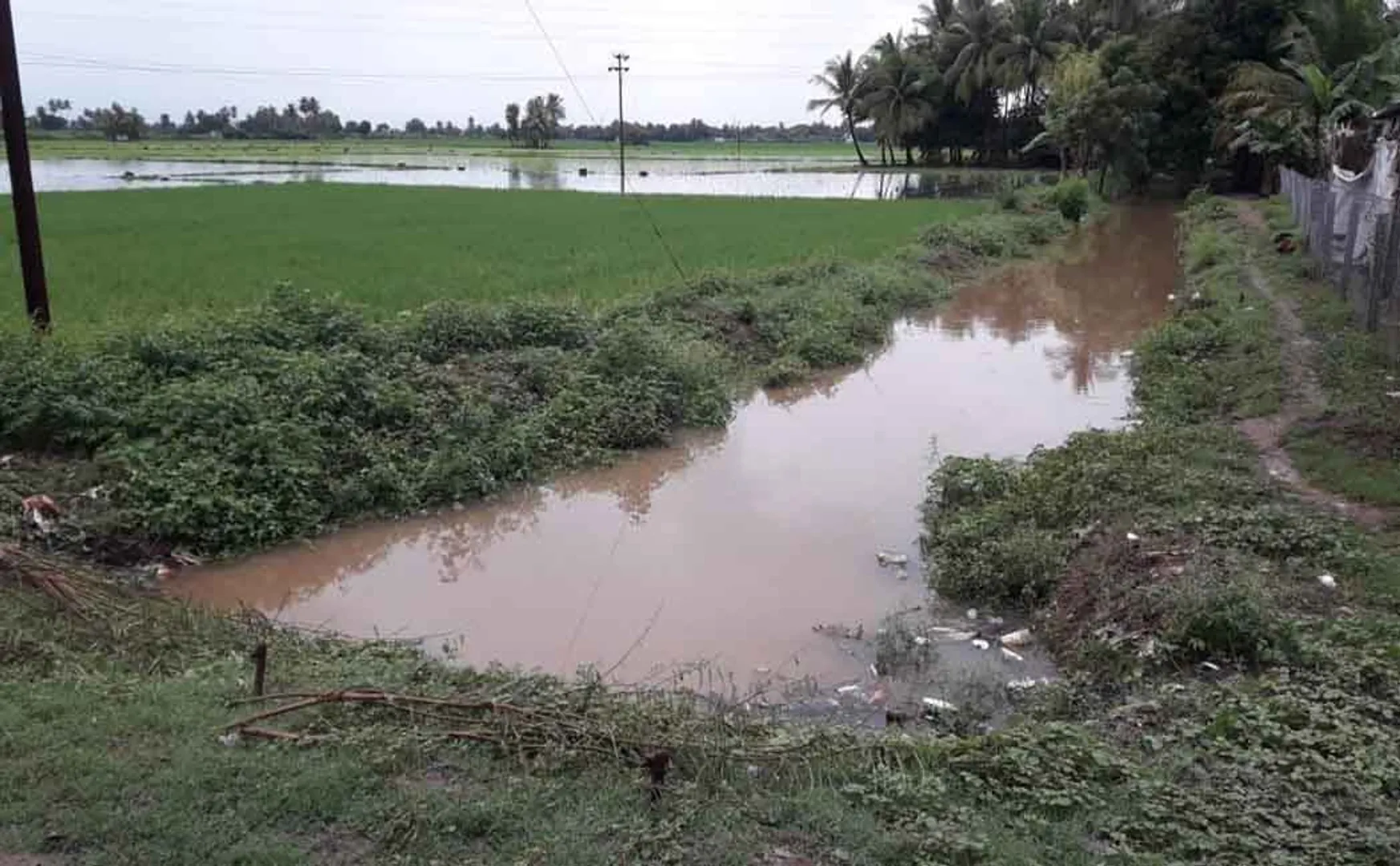 cuddalore heavy rain agriculture land flood 