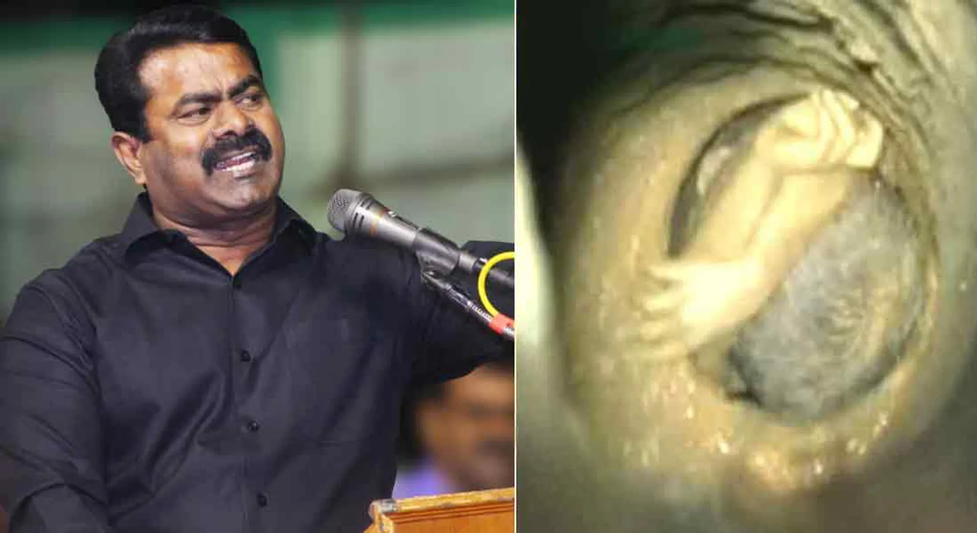 seeman report 