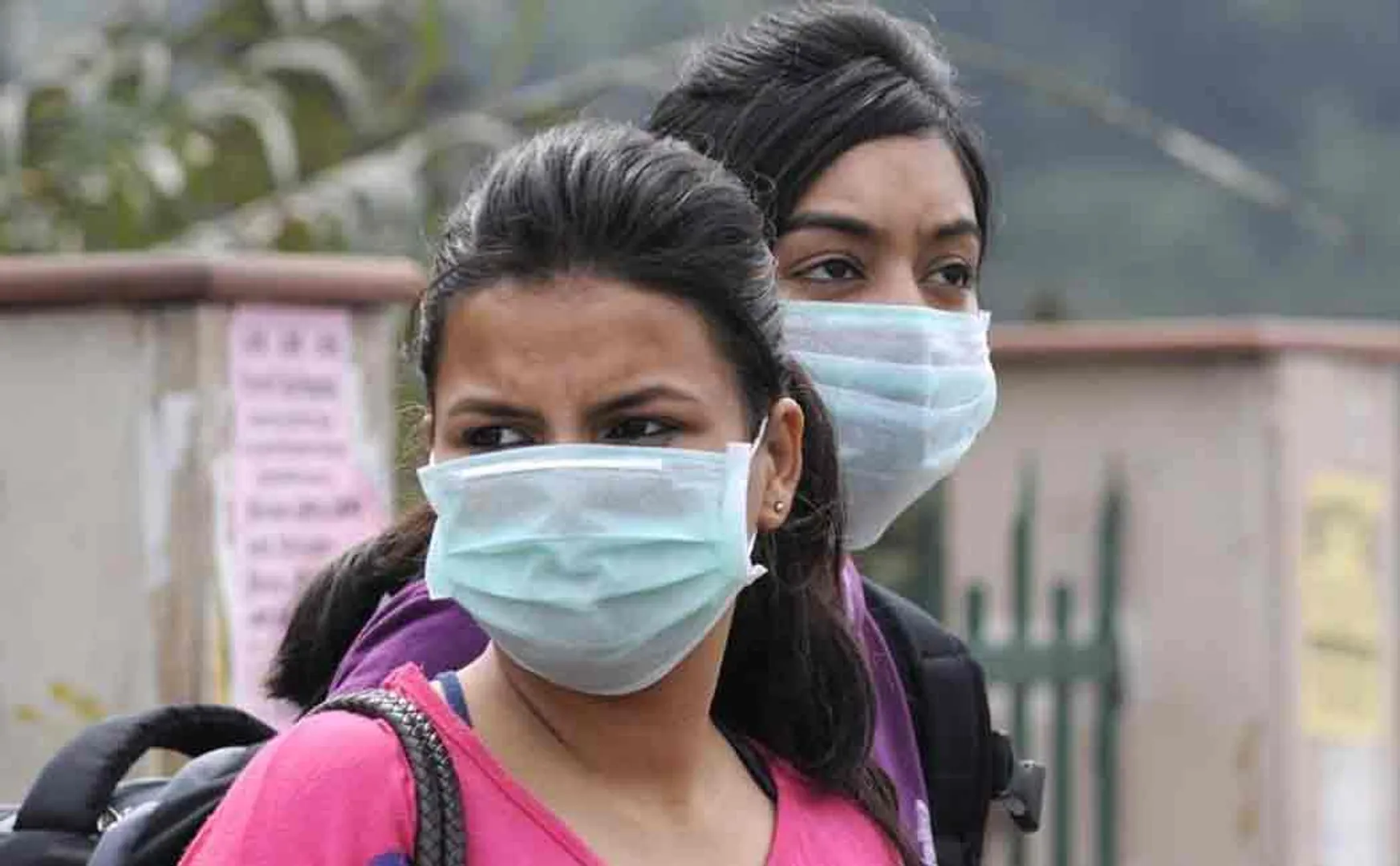 dengue and swine flu in india