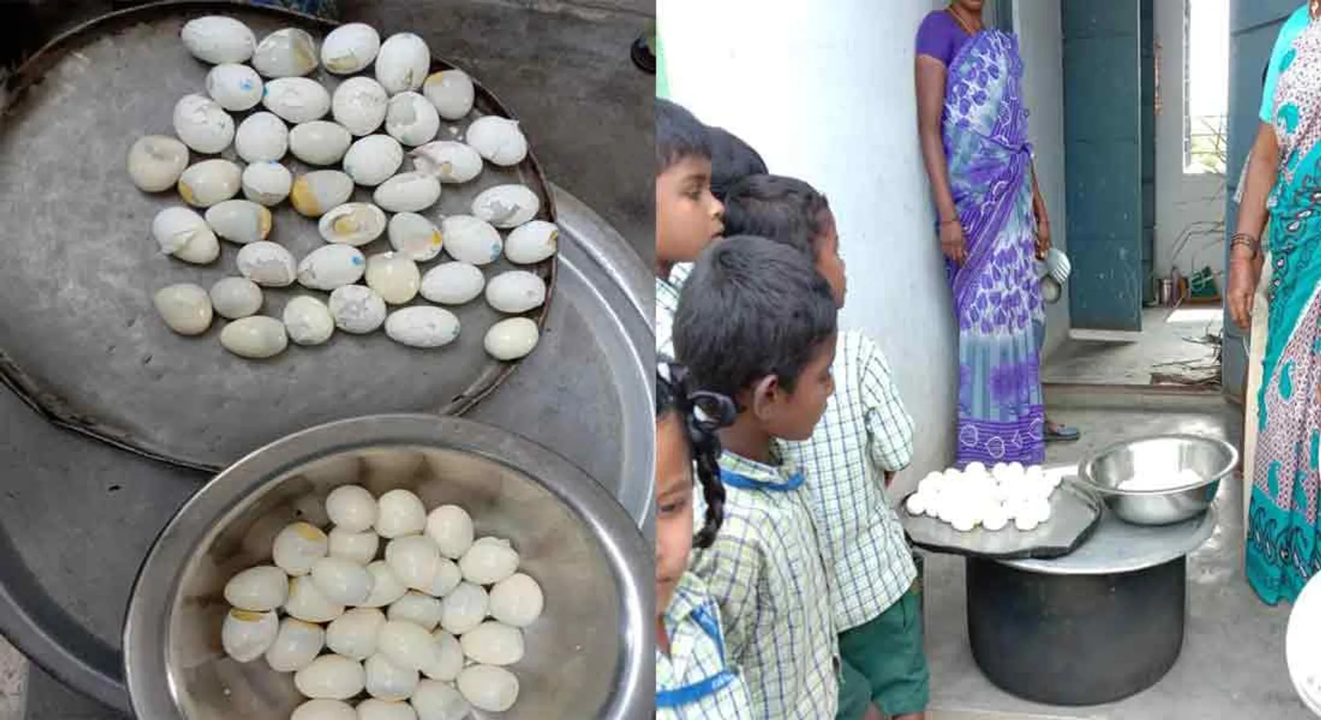 Rotten egg at lunch - unseen officers