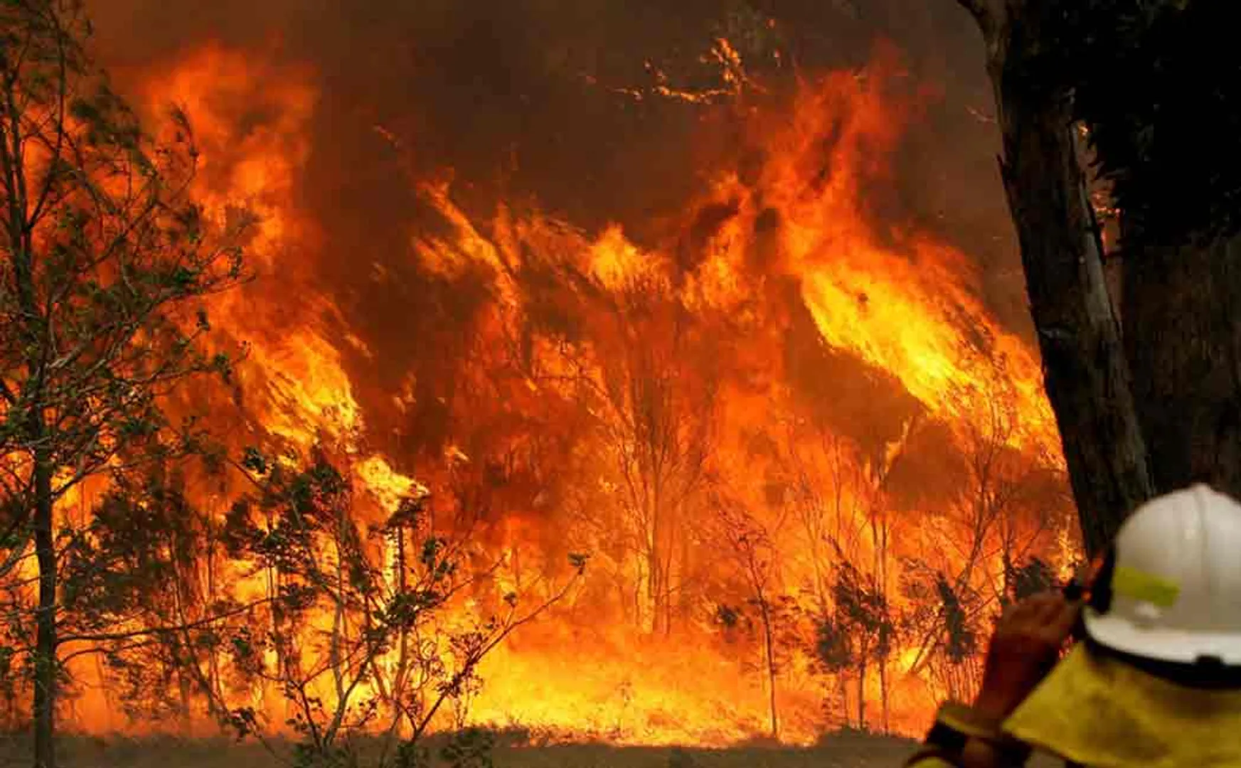 pregnant woman helping to fight with australia bushfire