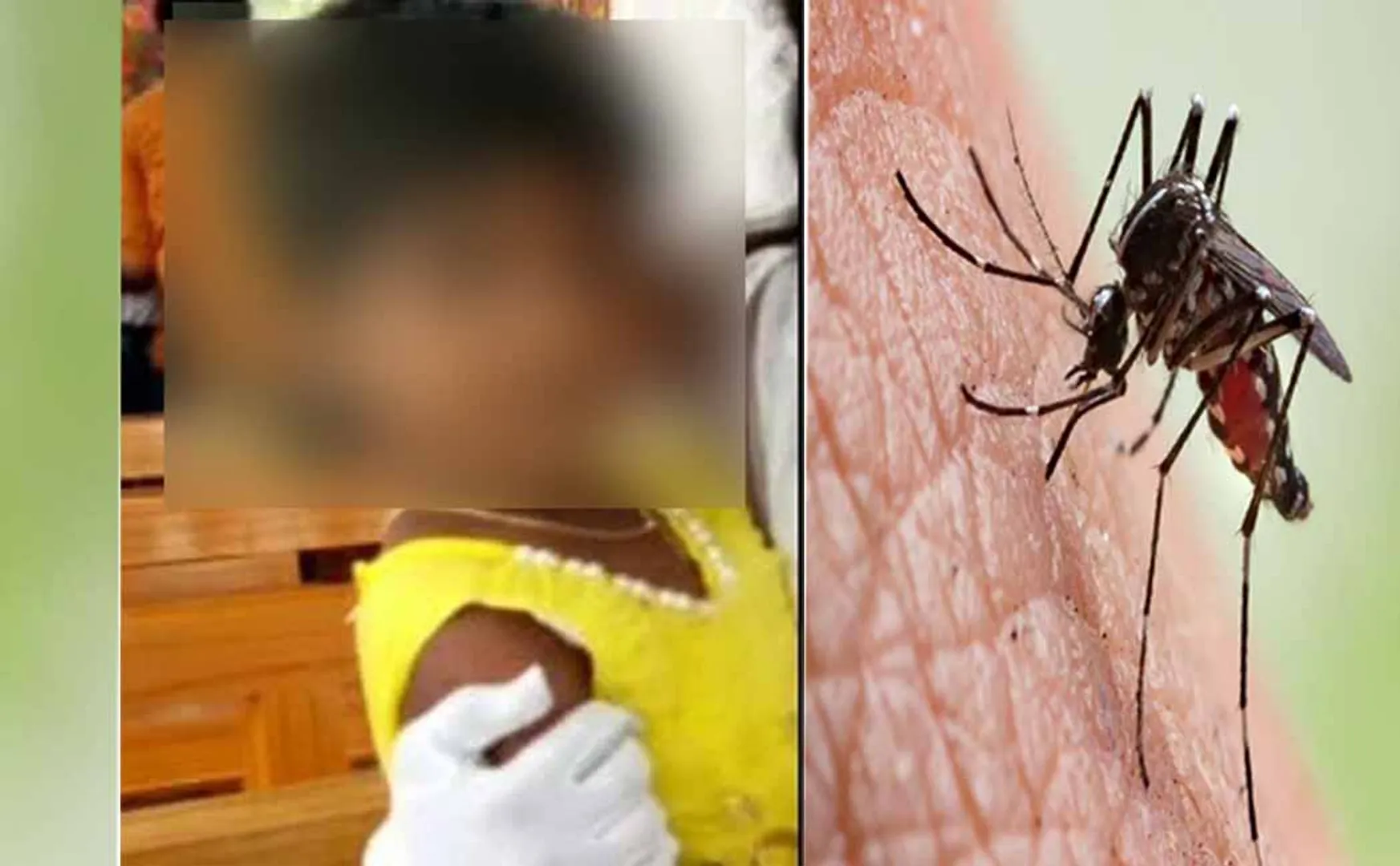 dengue fever ambattur 4 year child incident peoples shock 