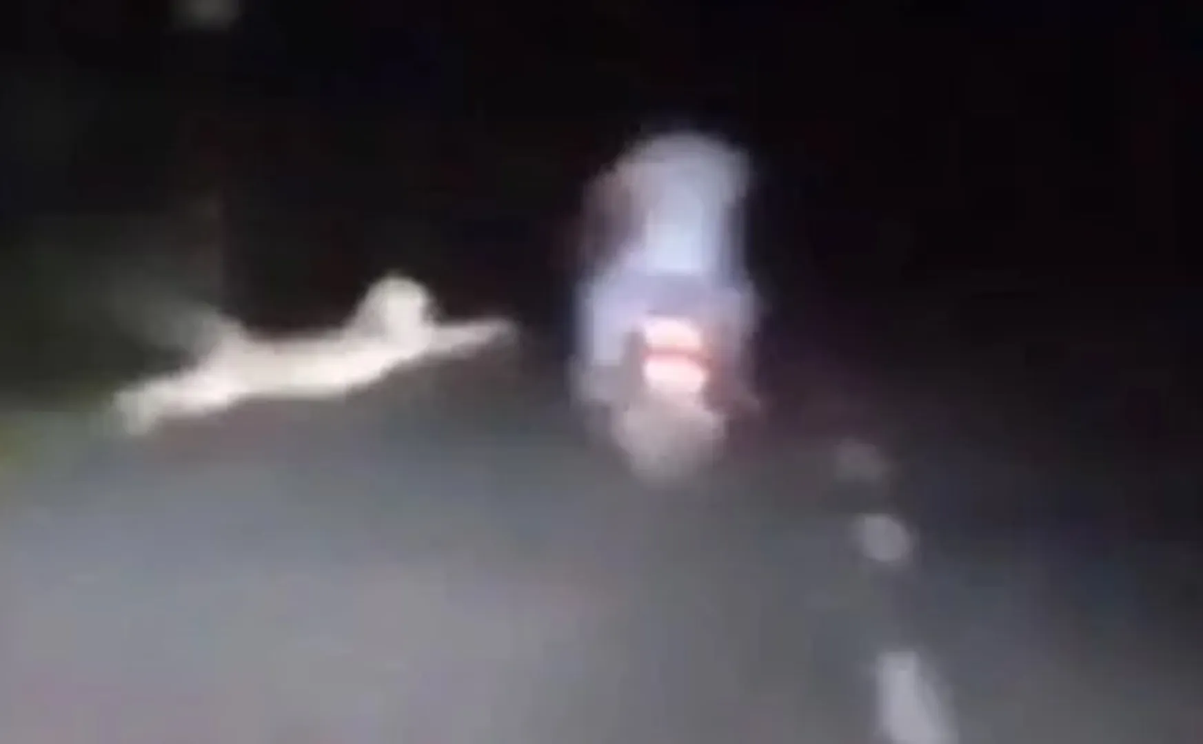 fd