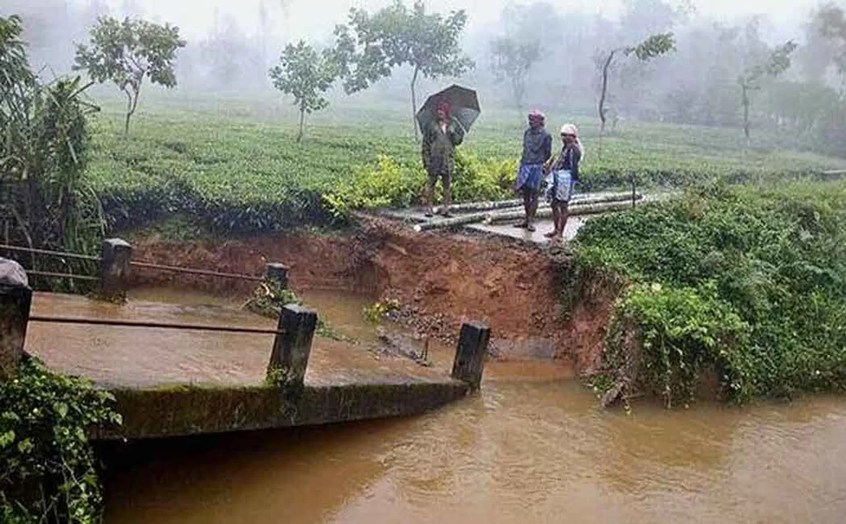 nilgiris districts heavy rain flood 