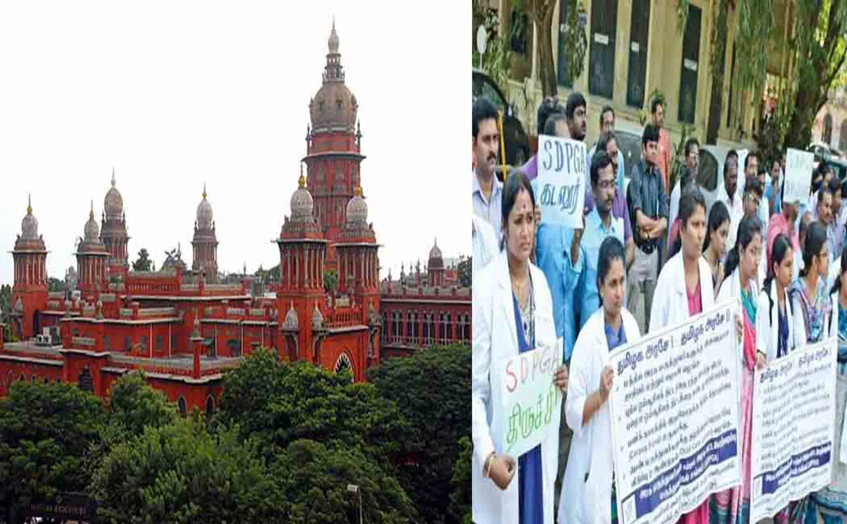 tamilnadu doctors strike chennai high court 