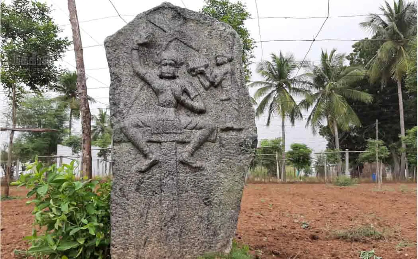 ancient stone found near thirupathur