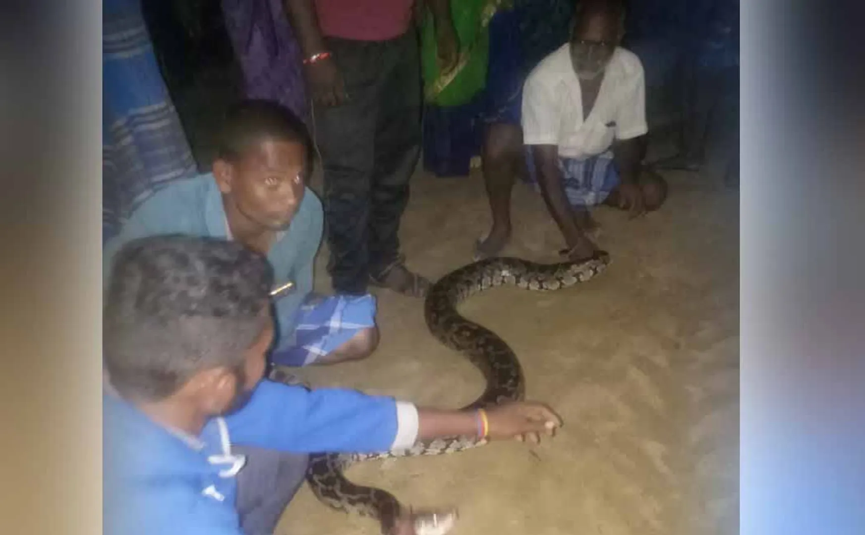 tirupattur district python youngters 