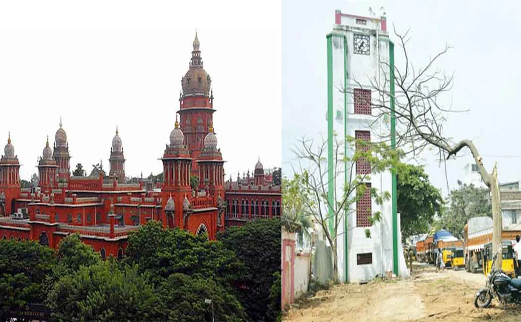  Court orders prohibition on cutting down trees and demolishing parks