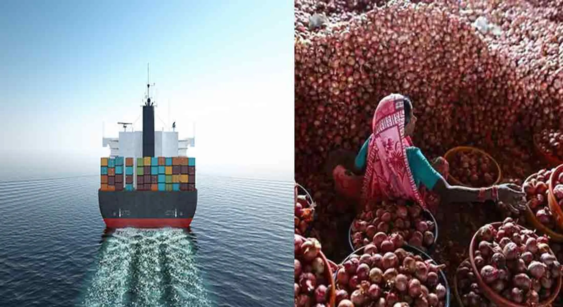  6,090 tonnes of onion imports from Egypt- Government decision