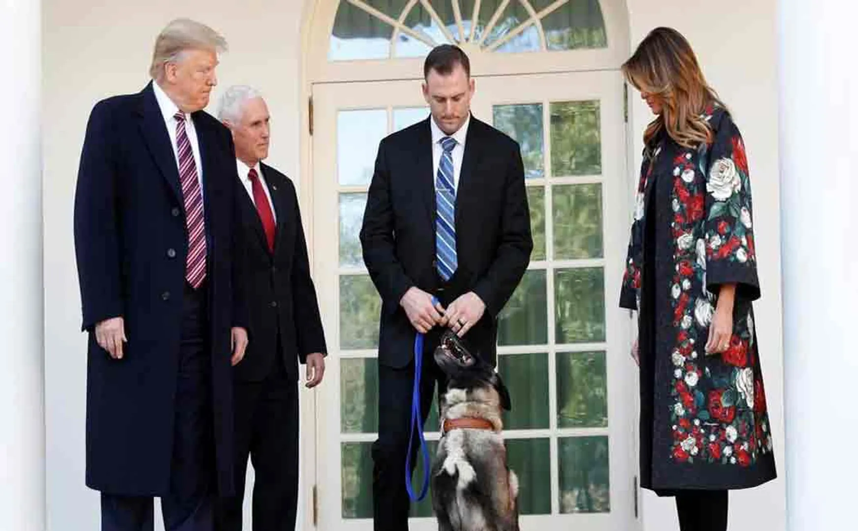 donald trump awards sniffing dog