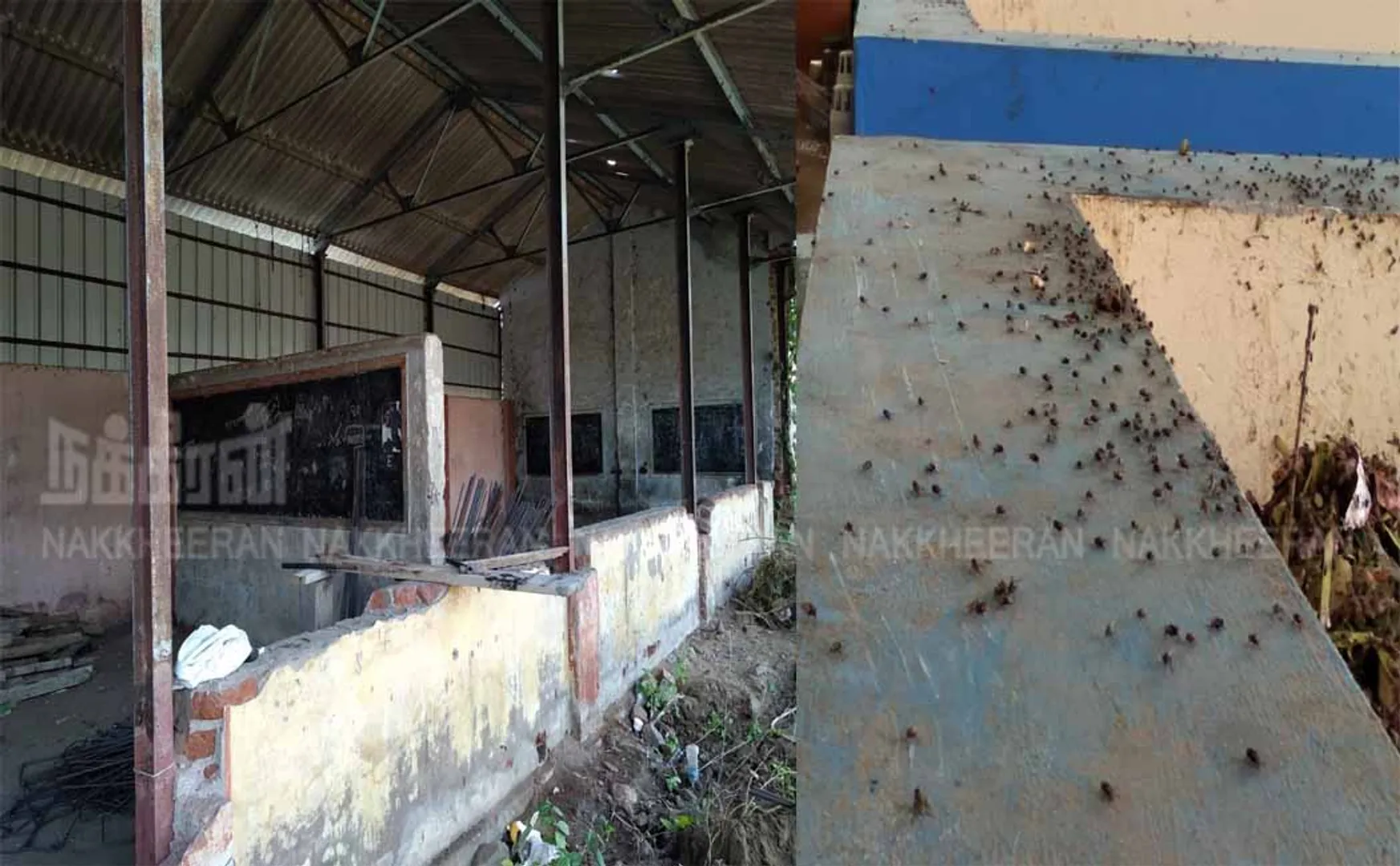 salem corporation schools and childrens fertilizer plant peoples 