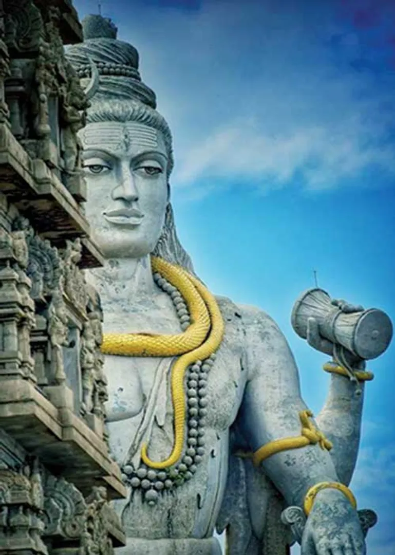 /idhalgal/balajothidam/shiva-generations-curse-prasanna-astrologer-i-anandi