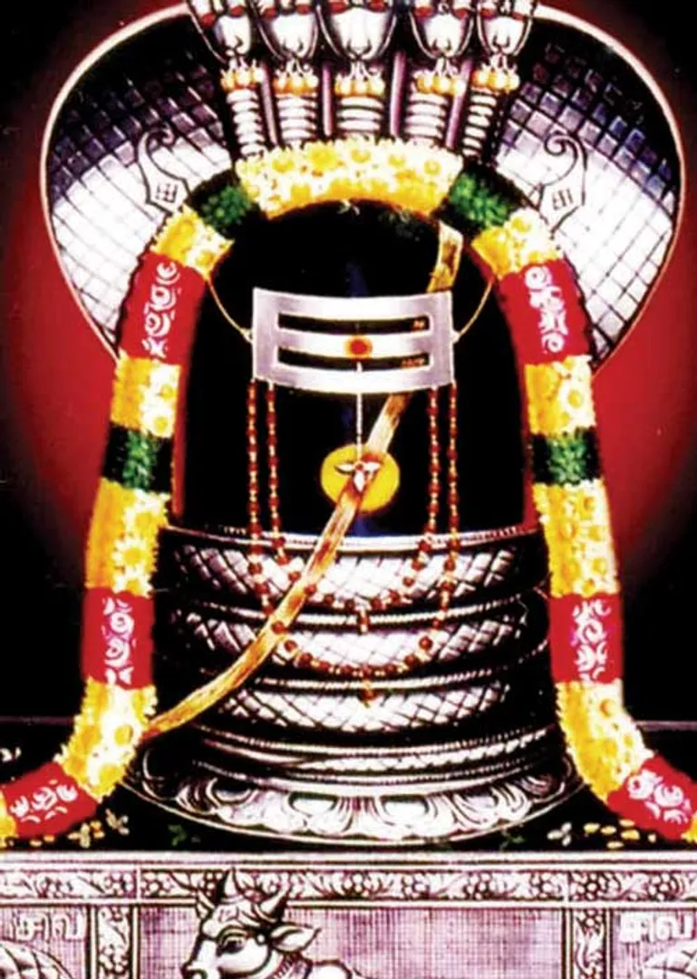 /idhalgal/balajothidam/gupta-ganga-speed-desires-ke-kumara-sivacharya