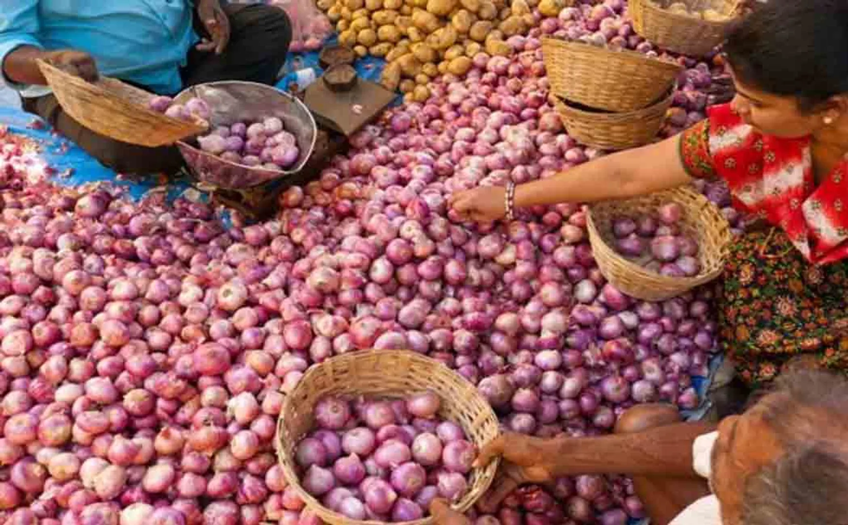onion import 17069 tons union government  